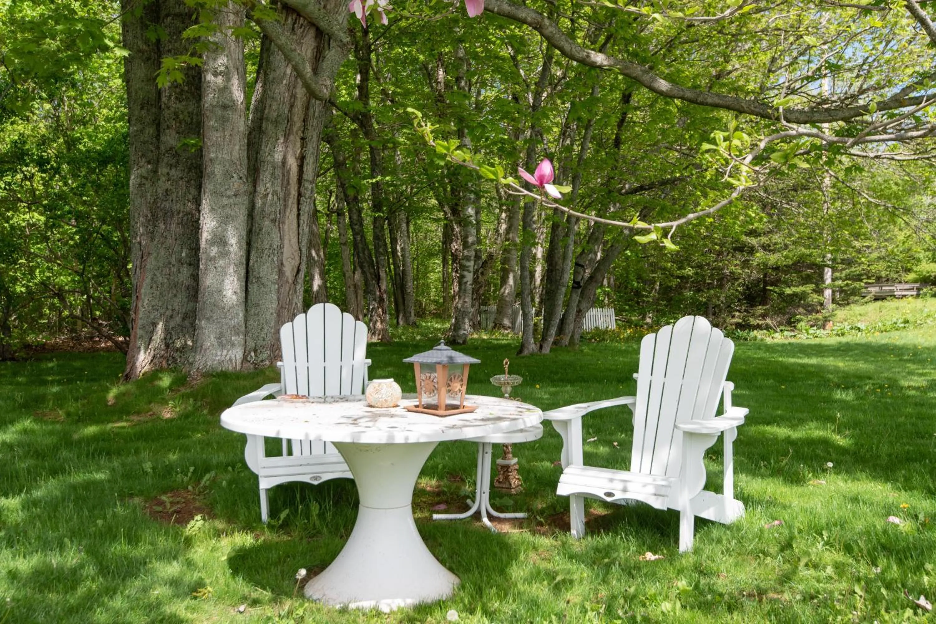 Garden view in Chez Nous