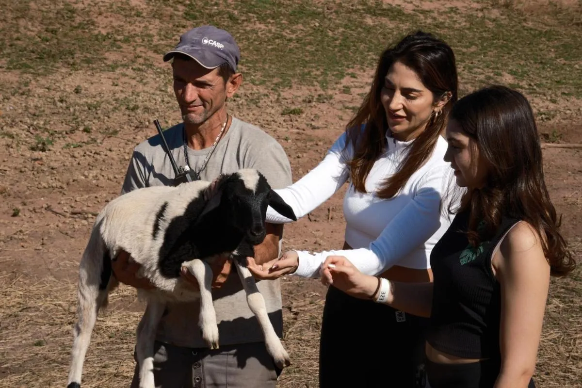 Animals in Brotas Eco Hotel Fazenda