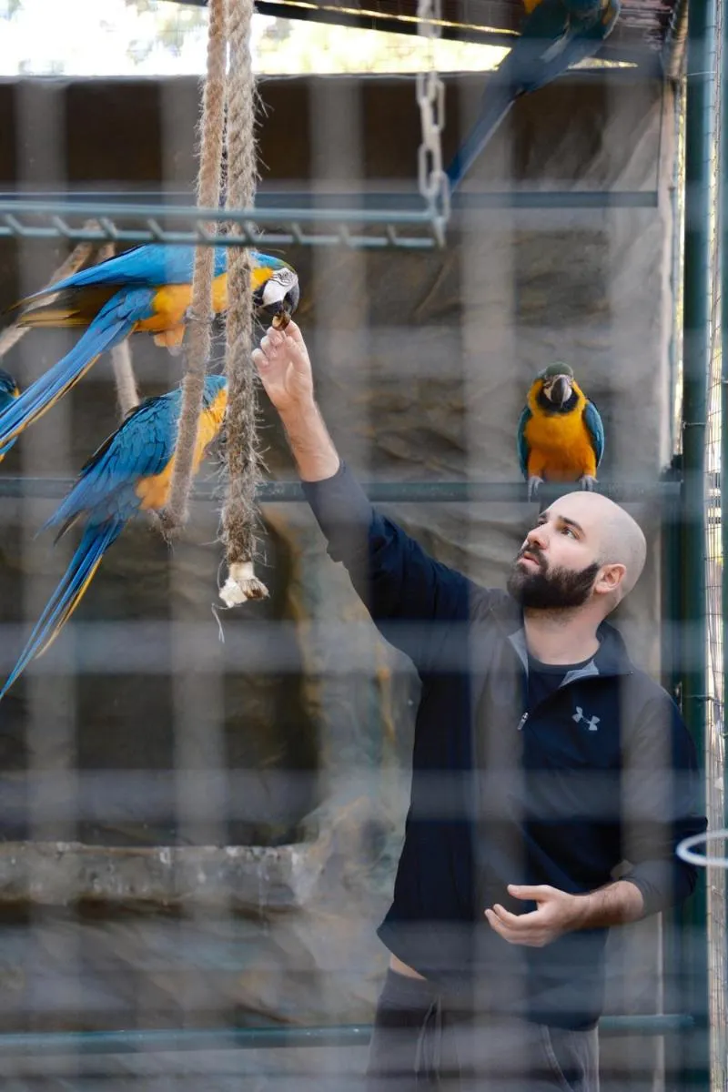 Animals in Brotas Eco Hotel Fazenda