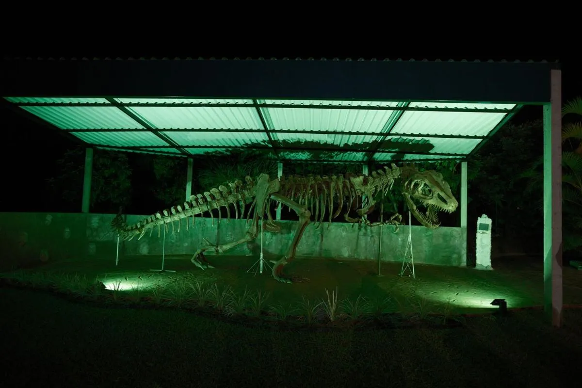 Children play ground in Brotas Eco Hotel Fazenda