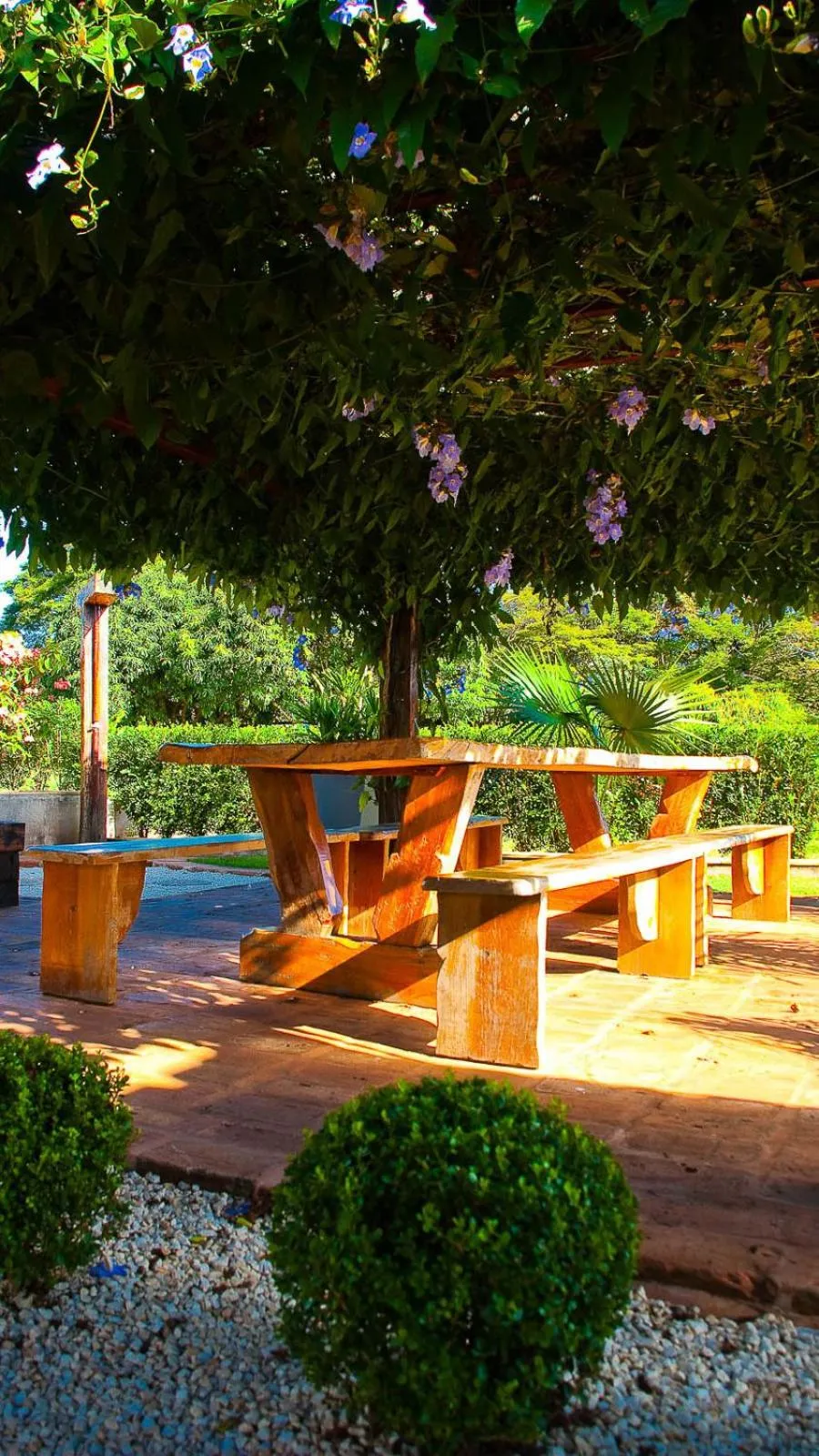 Balcony/Terrace in Brotas Eco Hotel Fazenda