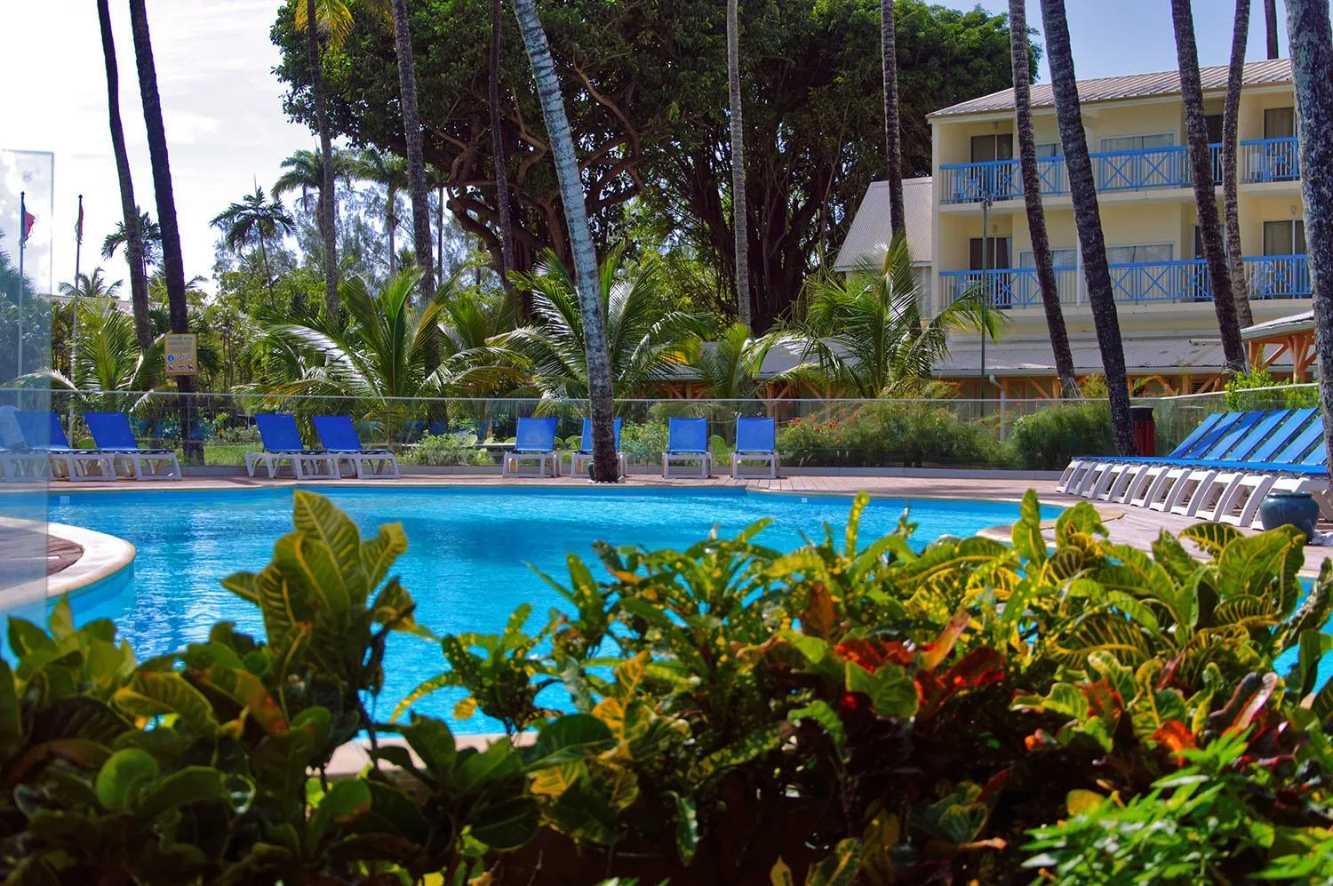Pool view in Carayou Hotel & Spa