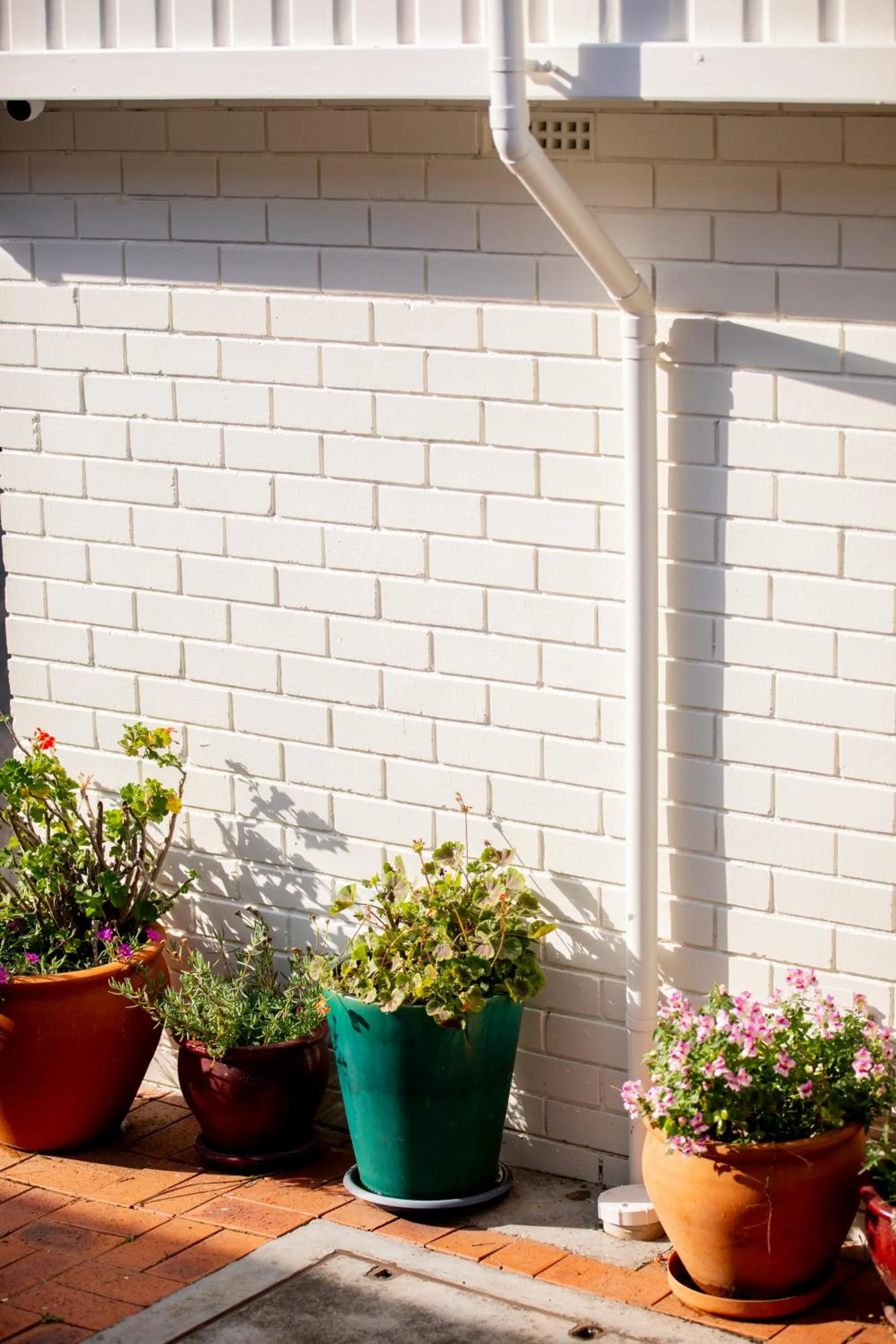 Property building in The Alluna Motel, an Ascend Collection Hotel