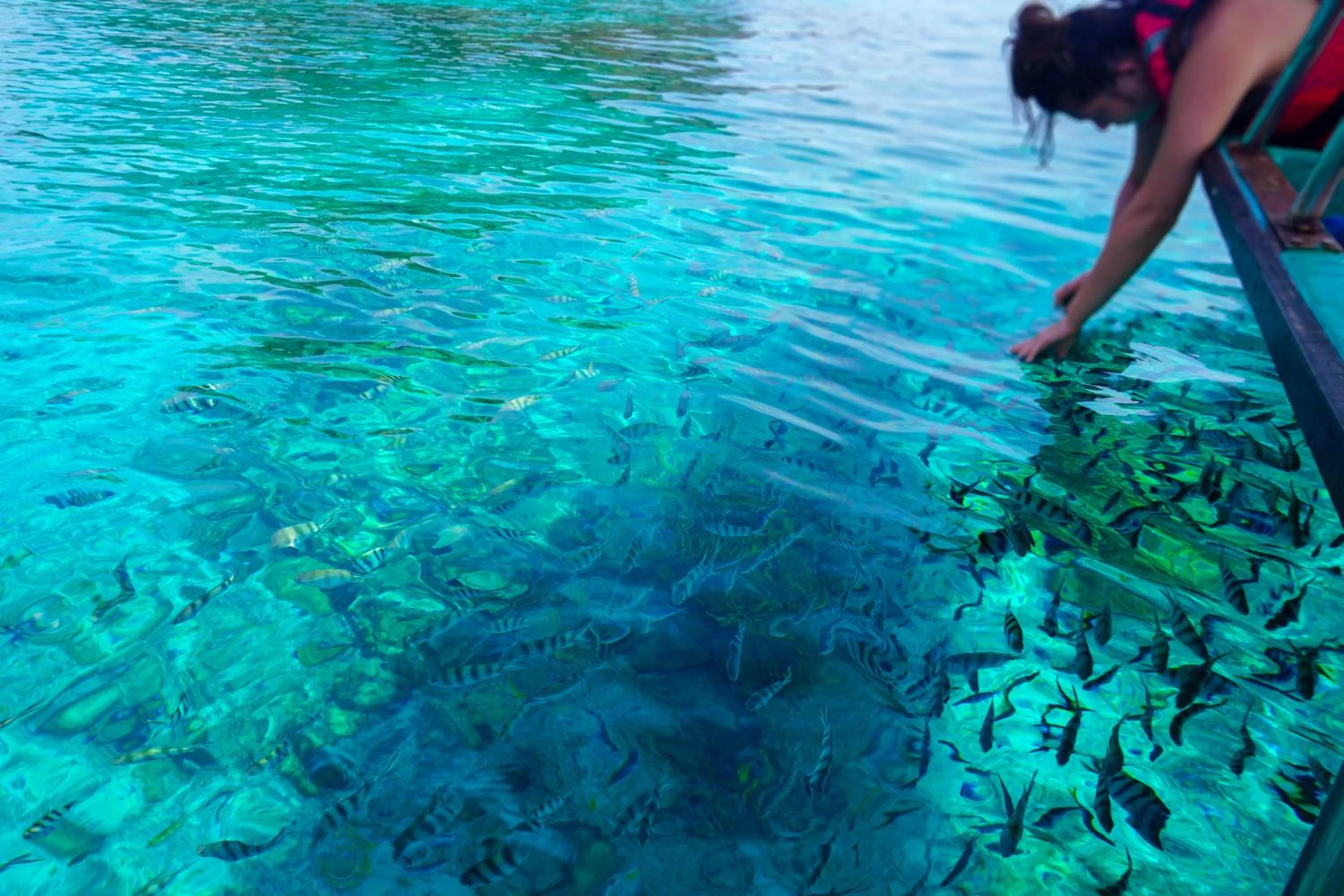 Beach in Bubu Resort
