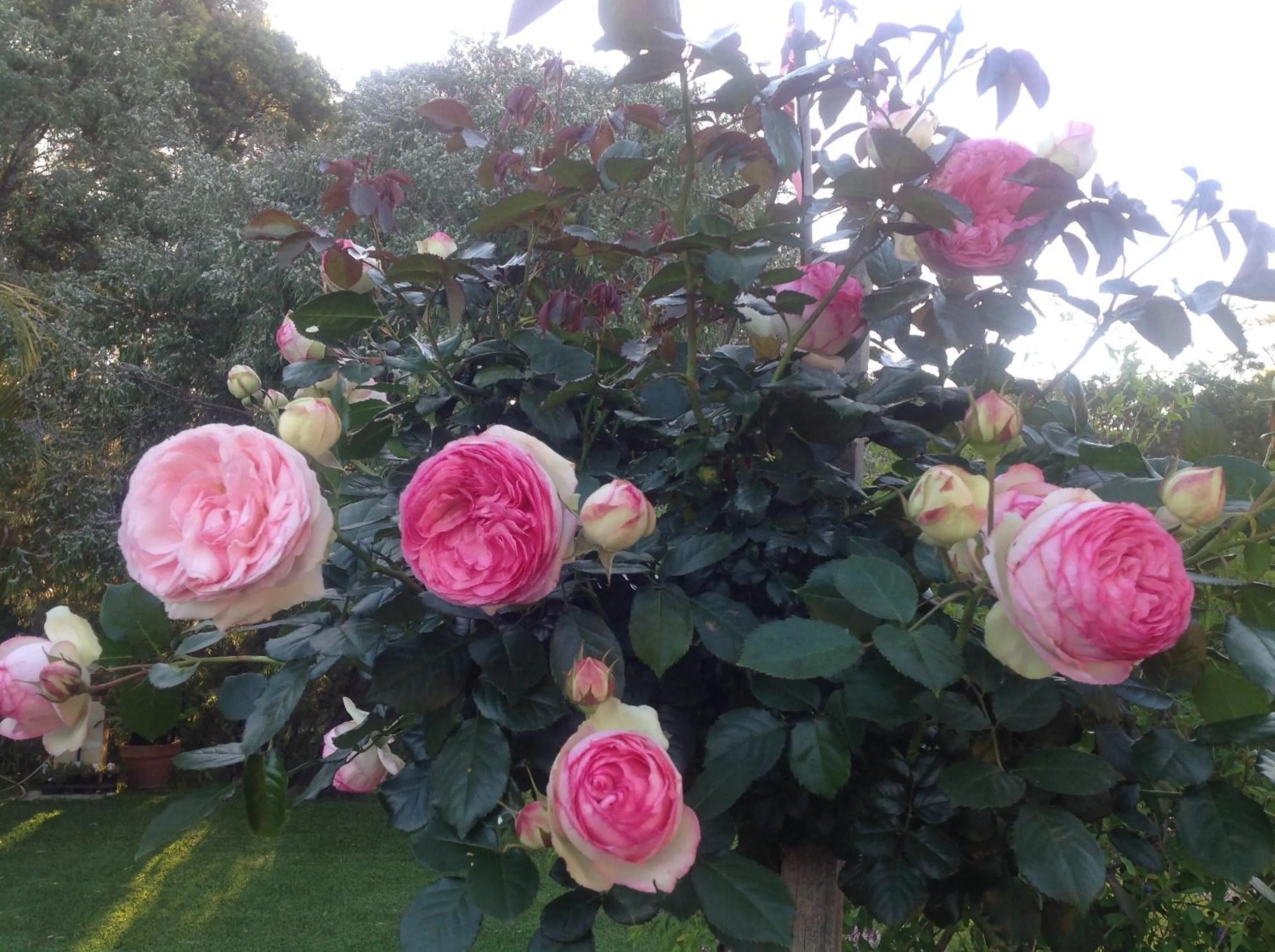 Winniston Lodge Luxury Accommodation