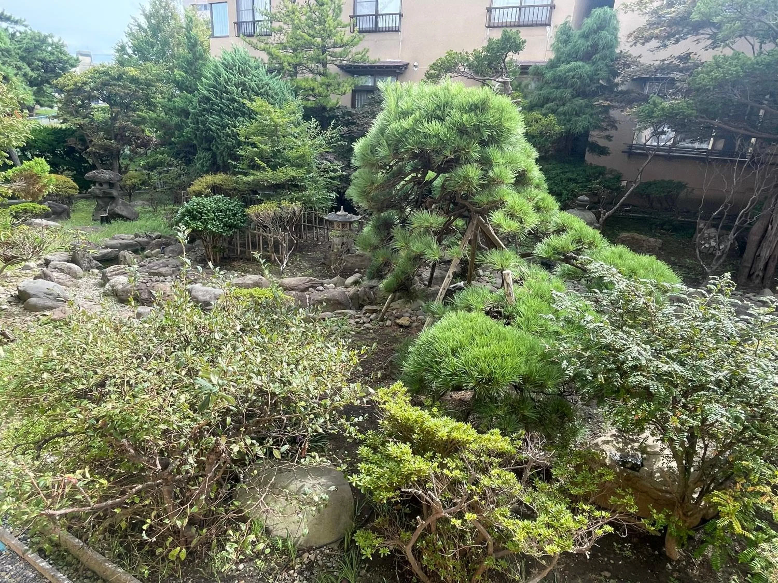 Garden in Ryokan Ichinomatsu