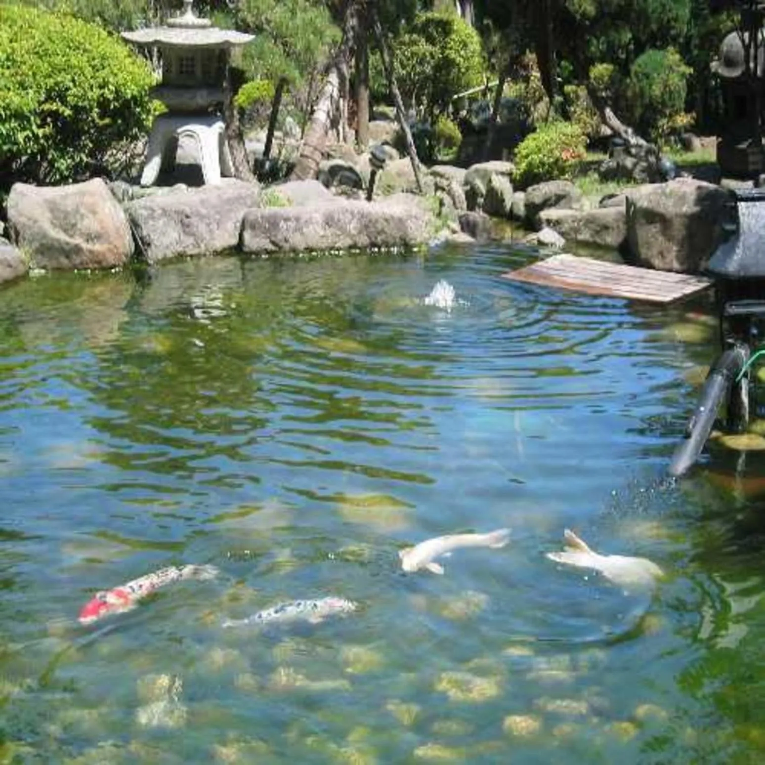 Spring in Ryokan Ichinomatsu