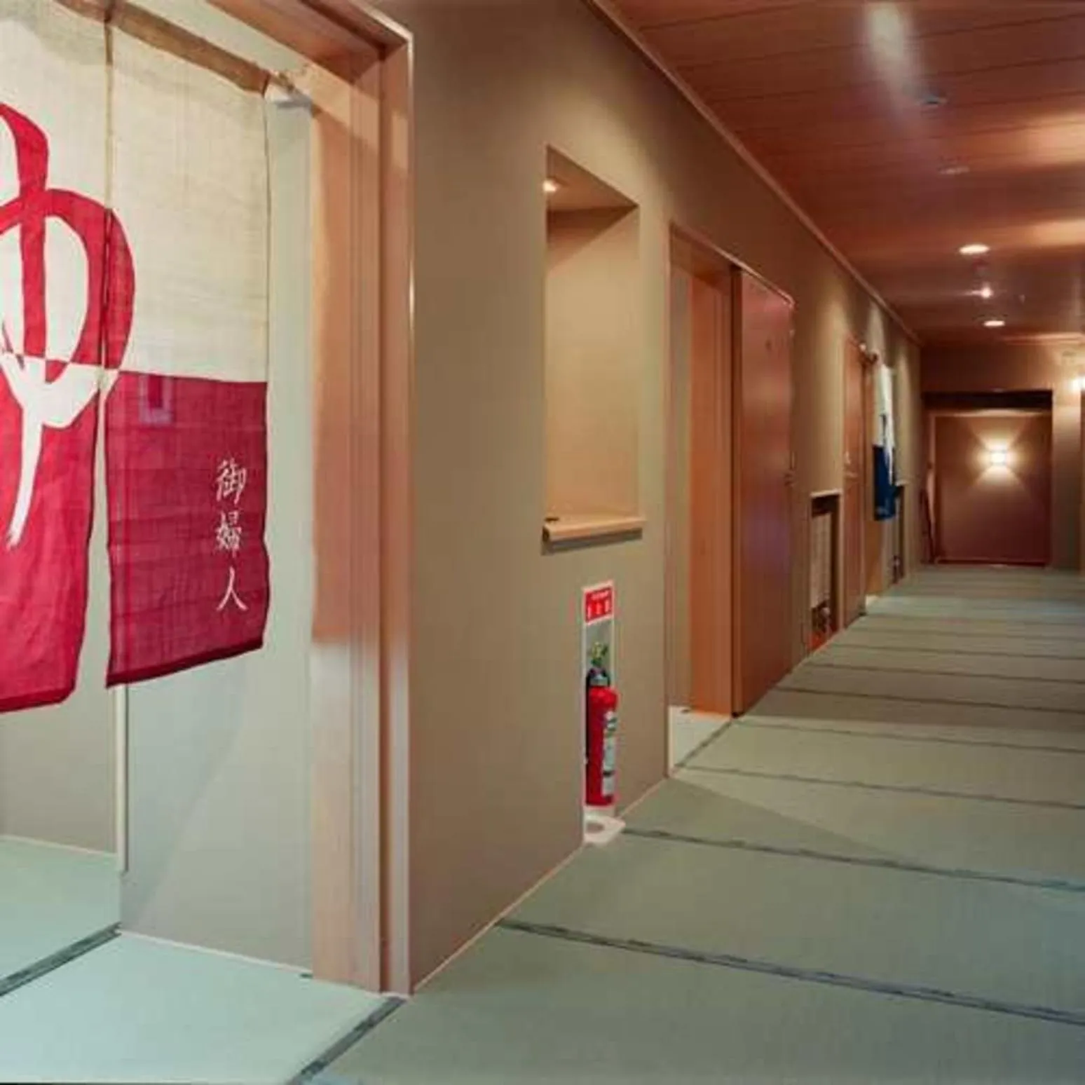 Hot Spring Bath in Ryokan Ichinomatsu