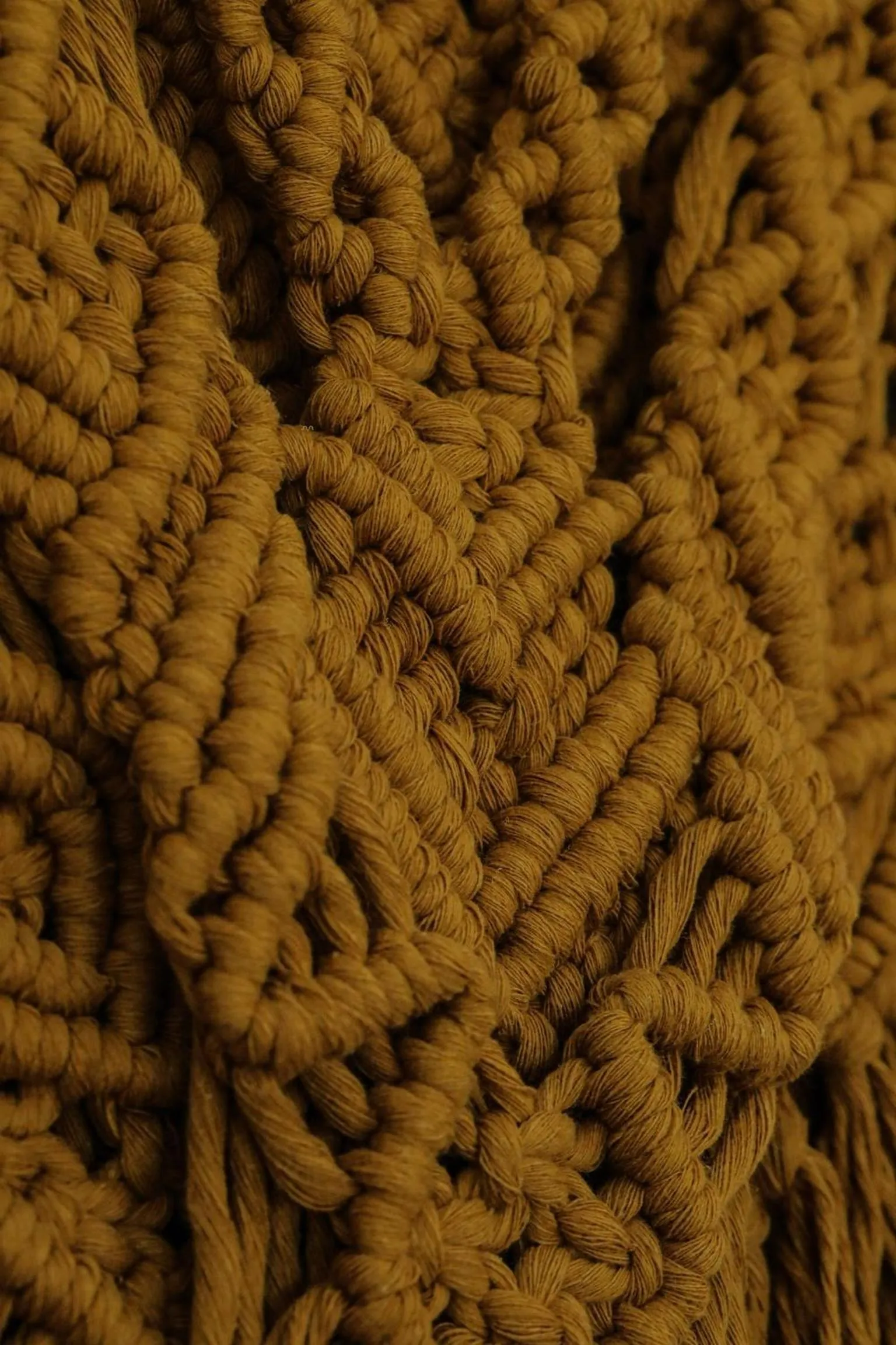 Anchors Port Campbell