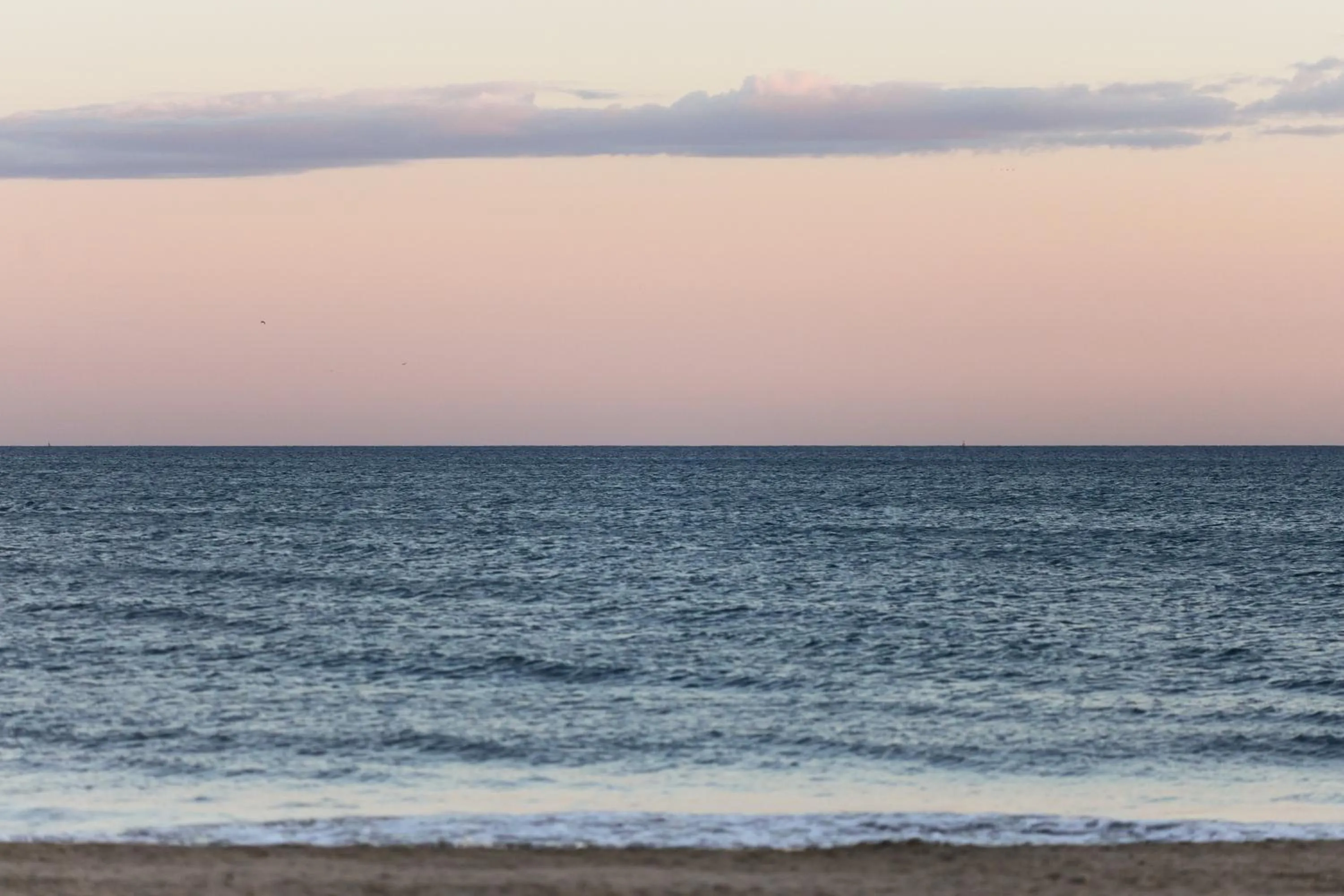 Natural landscape in Hôtel Plage Palace & Spa