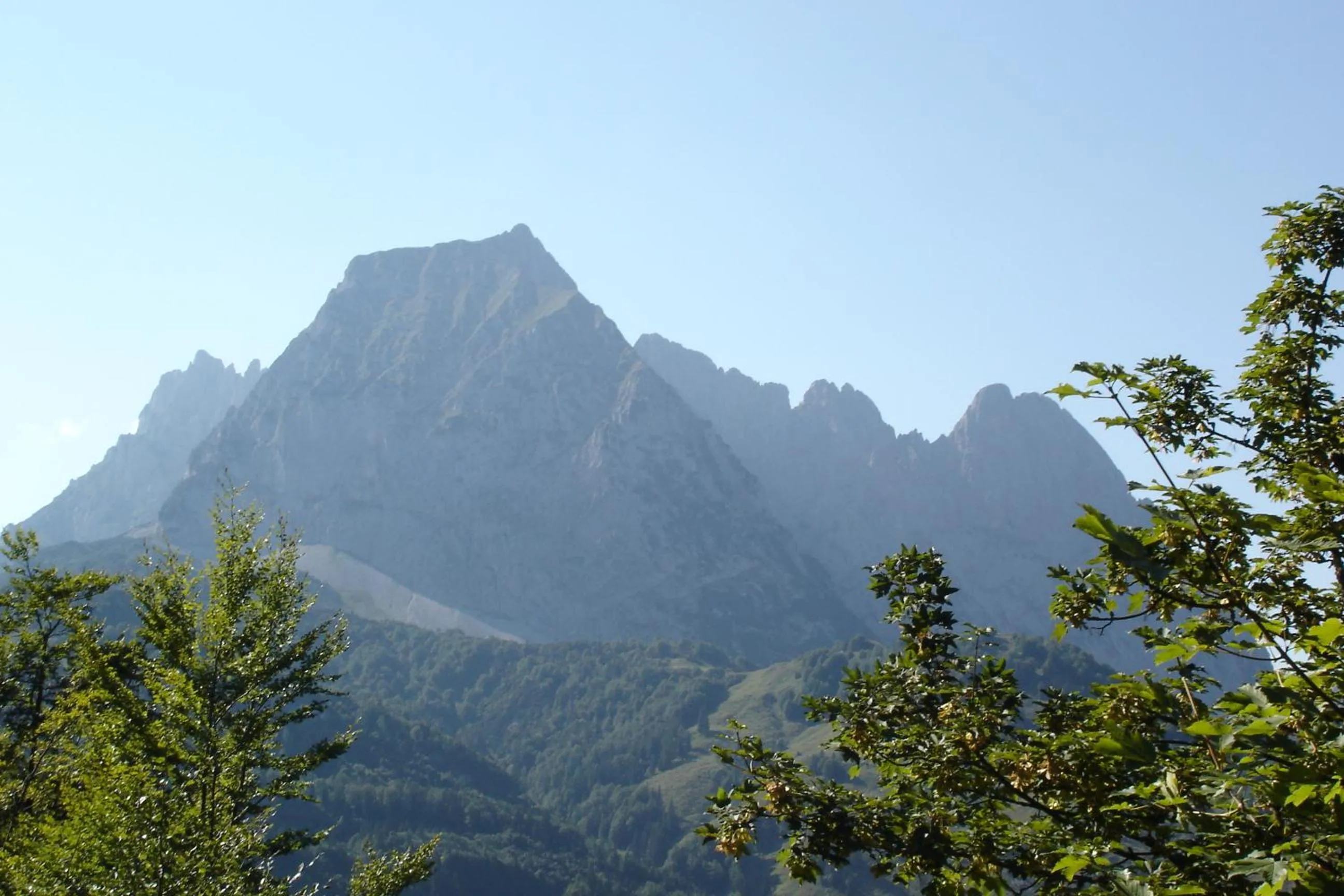 Area and facilities in Hotel Neuwirt