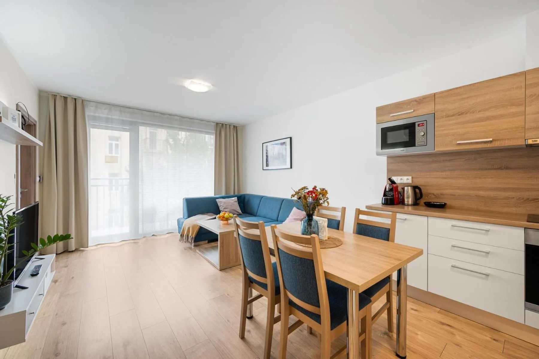 Kitchen or kitchenette in Apart Hotel VIRGO