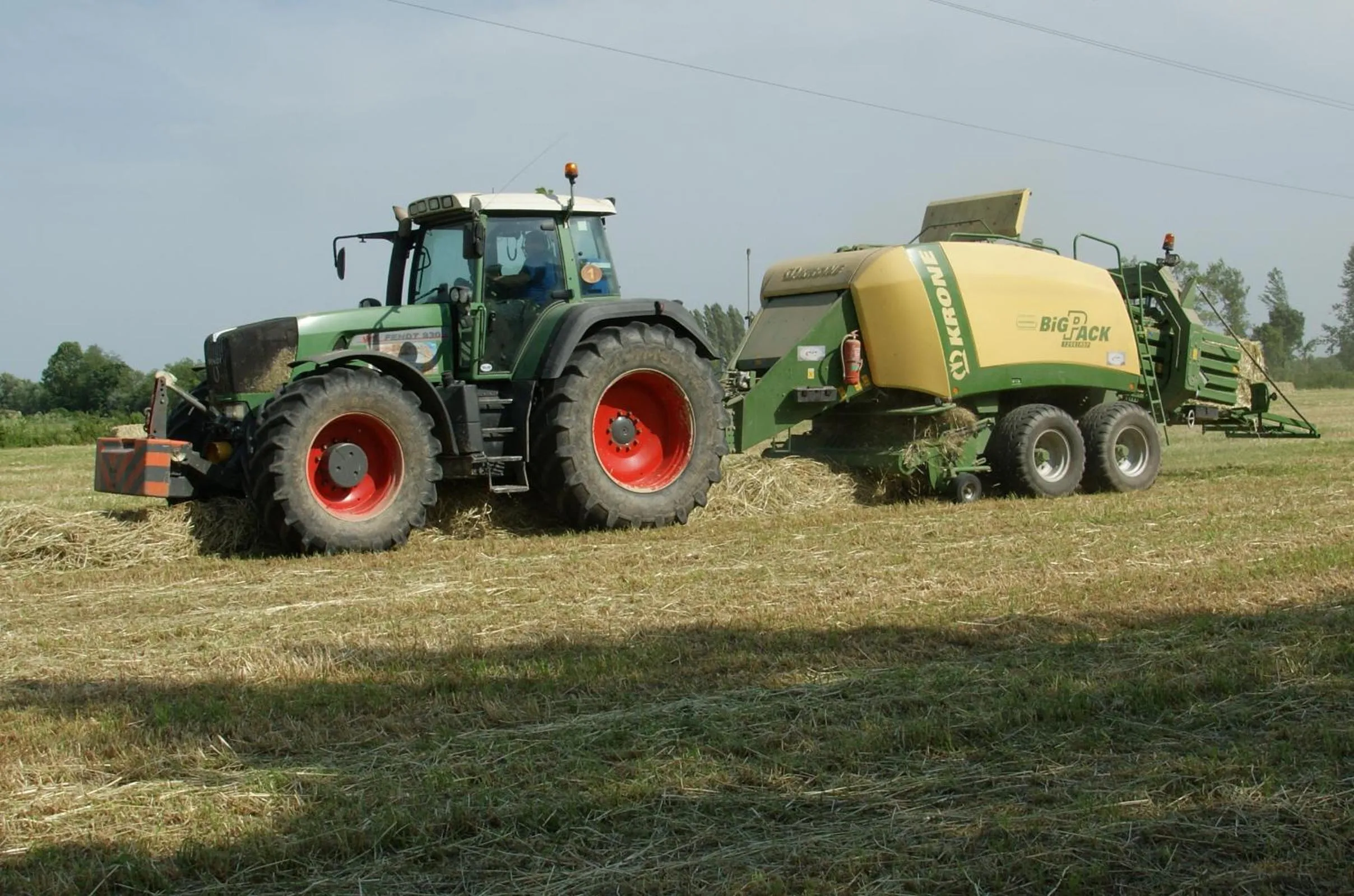 Natural landscape in Agriturismo Villa Mocenigo