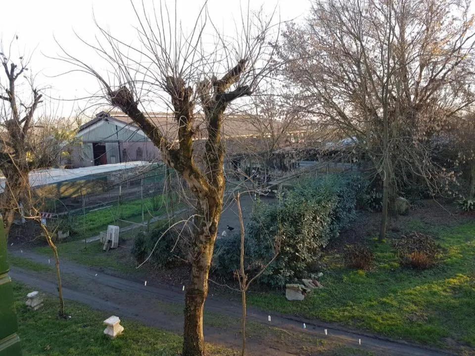 Balcony/Terrace in Agriturismo Villa Mocenigo
