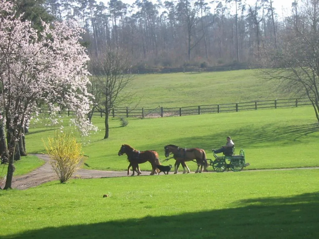 Area and facilities in Chambres d'hôtes La Verrerie du Gast
