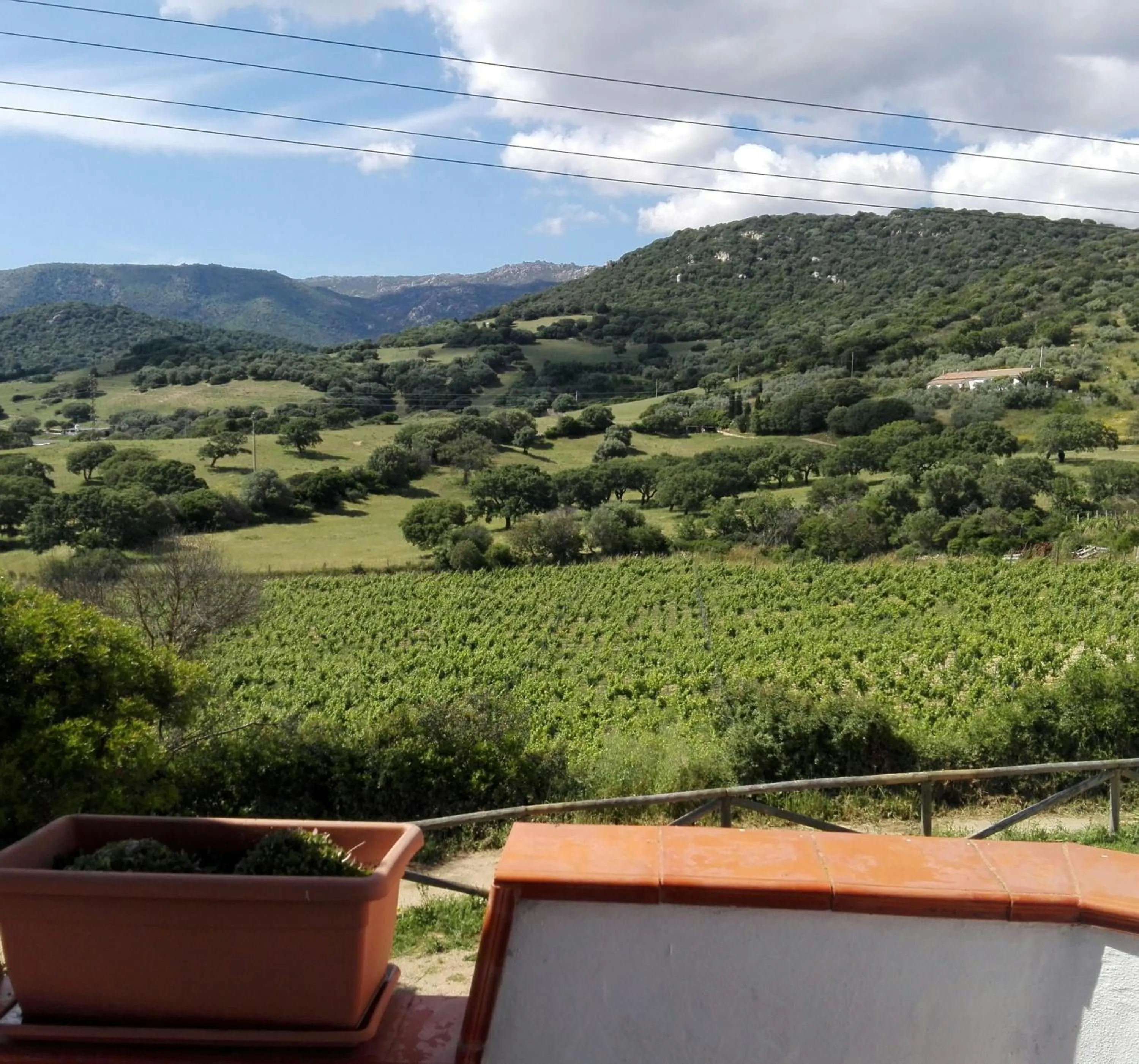 Double Room - single occupancy in Agriturismo B&B Domo De Resteblas