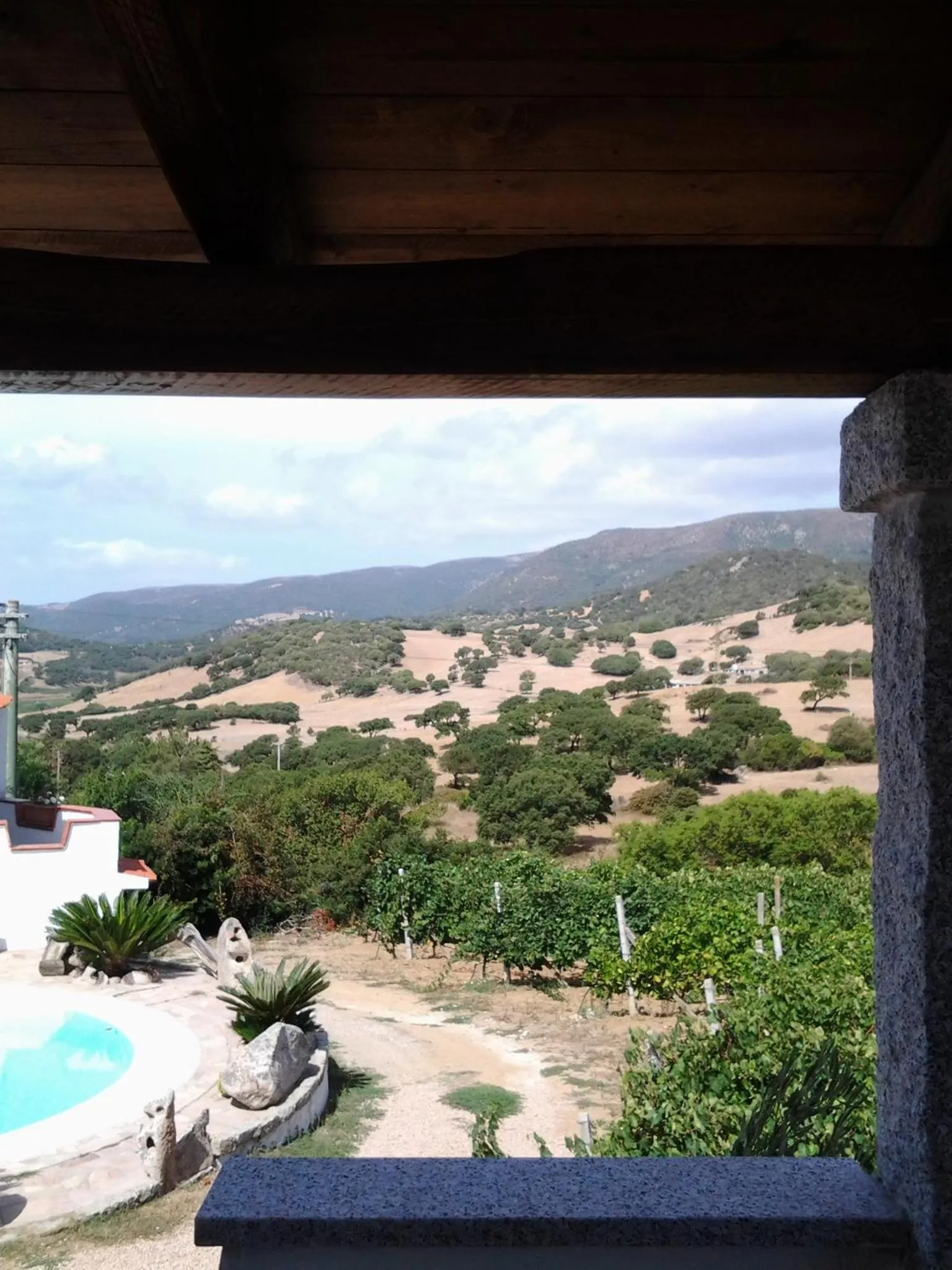 Twin Room - single occupancy in Agriturismo B&B Domo De Resteblas