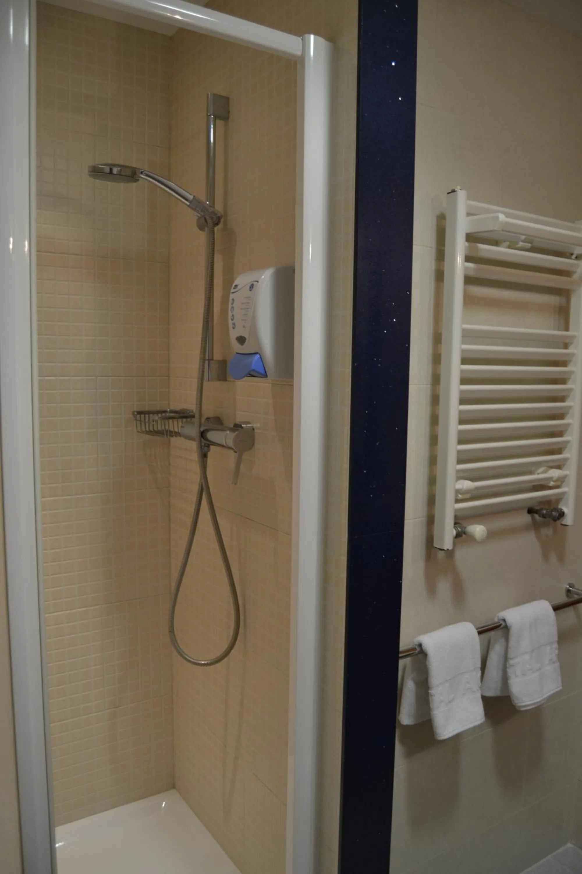 Bathroom in Hostal Apolo