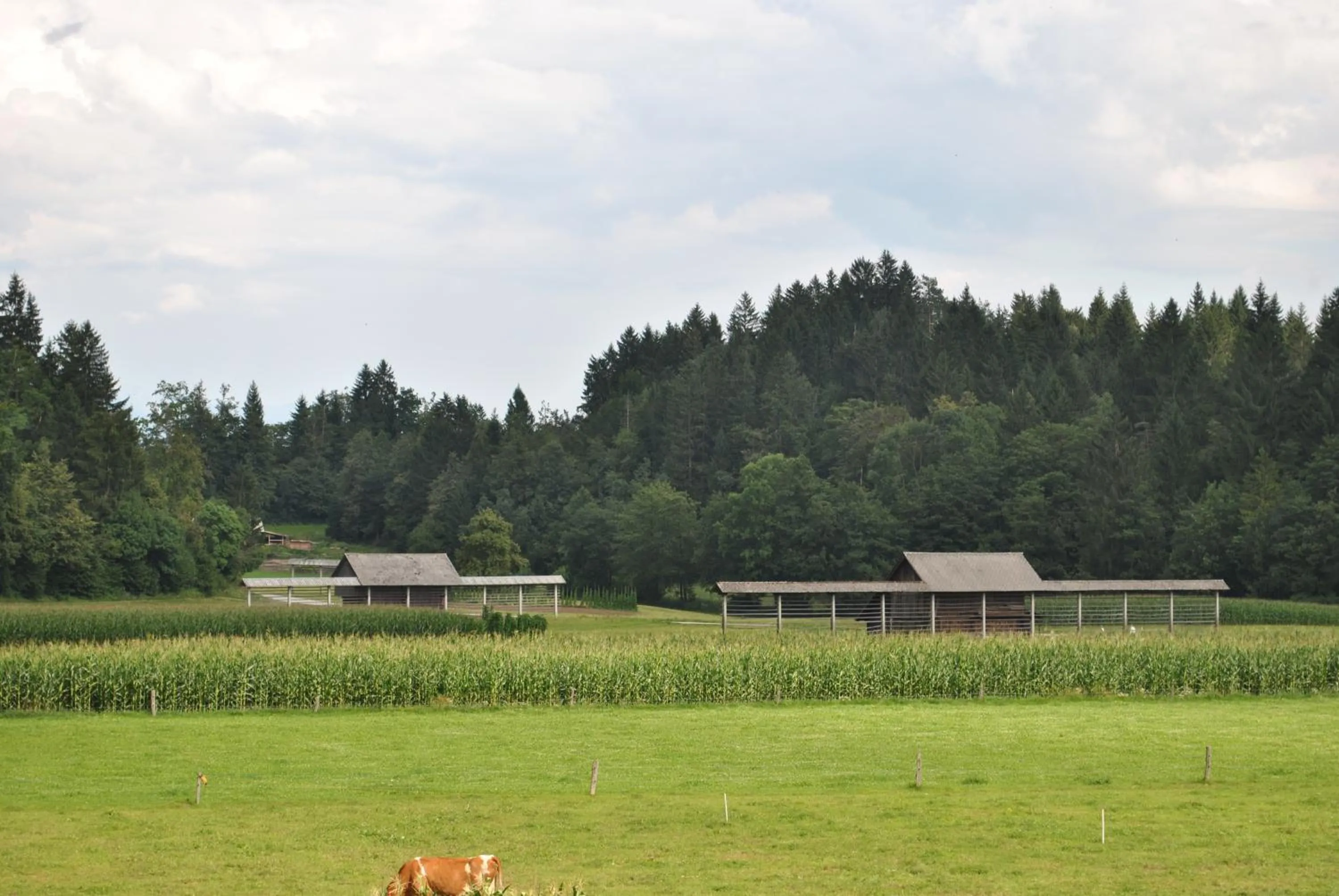 Area and facilities in Farm Holidays Povsin