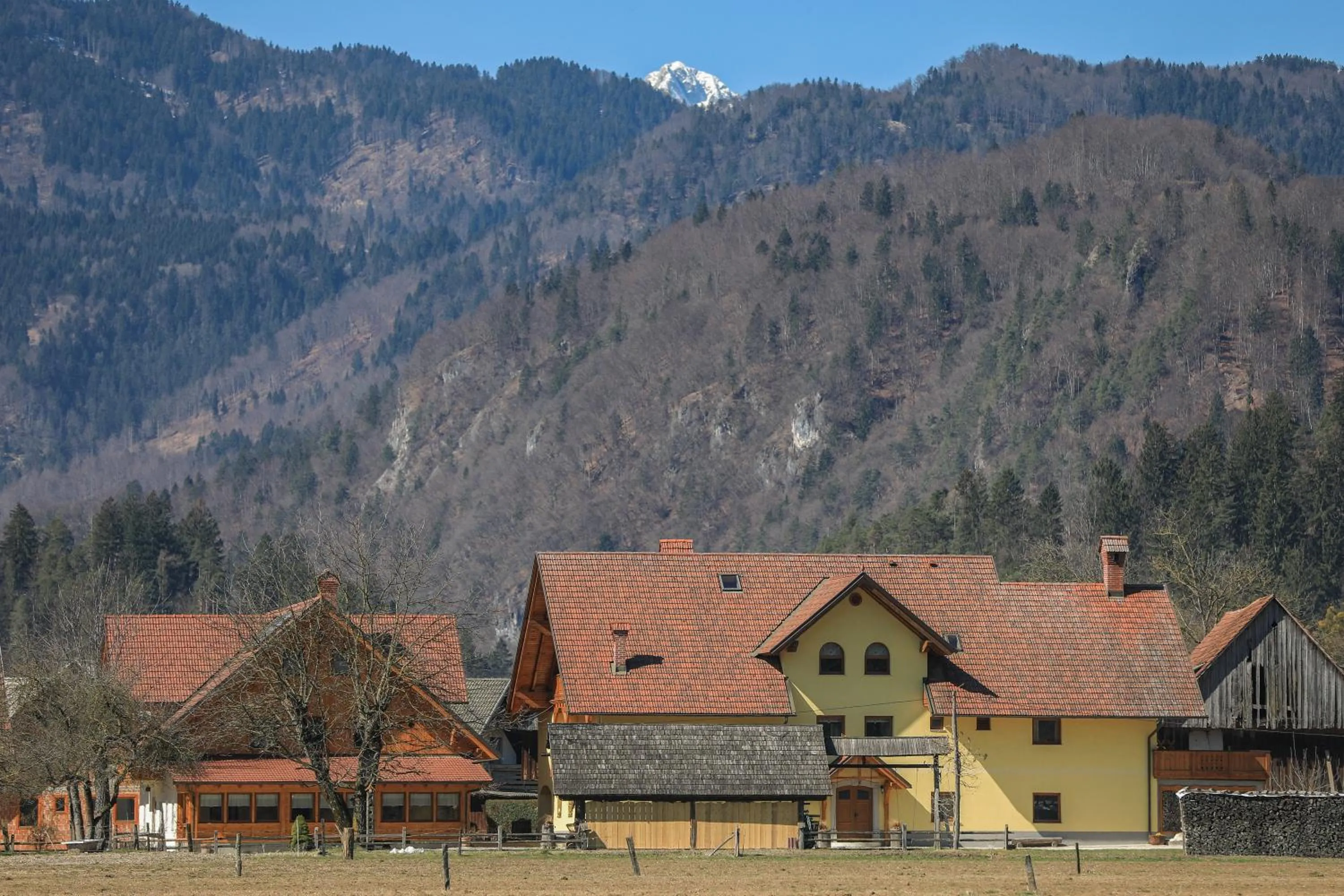 View (from property/room) in Farm Holidays Povsin