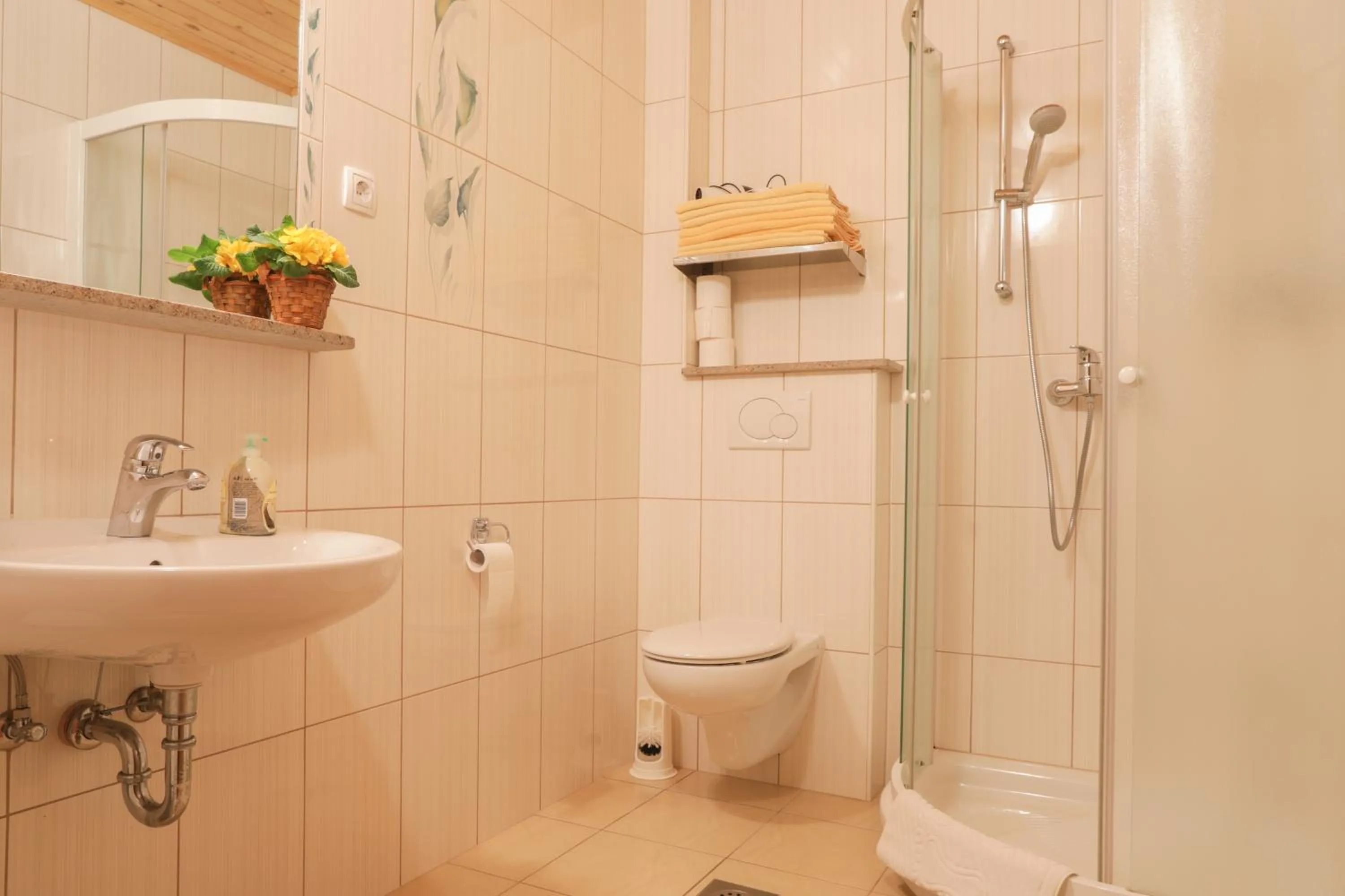 Shower in Farm Holidays Povsin