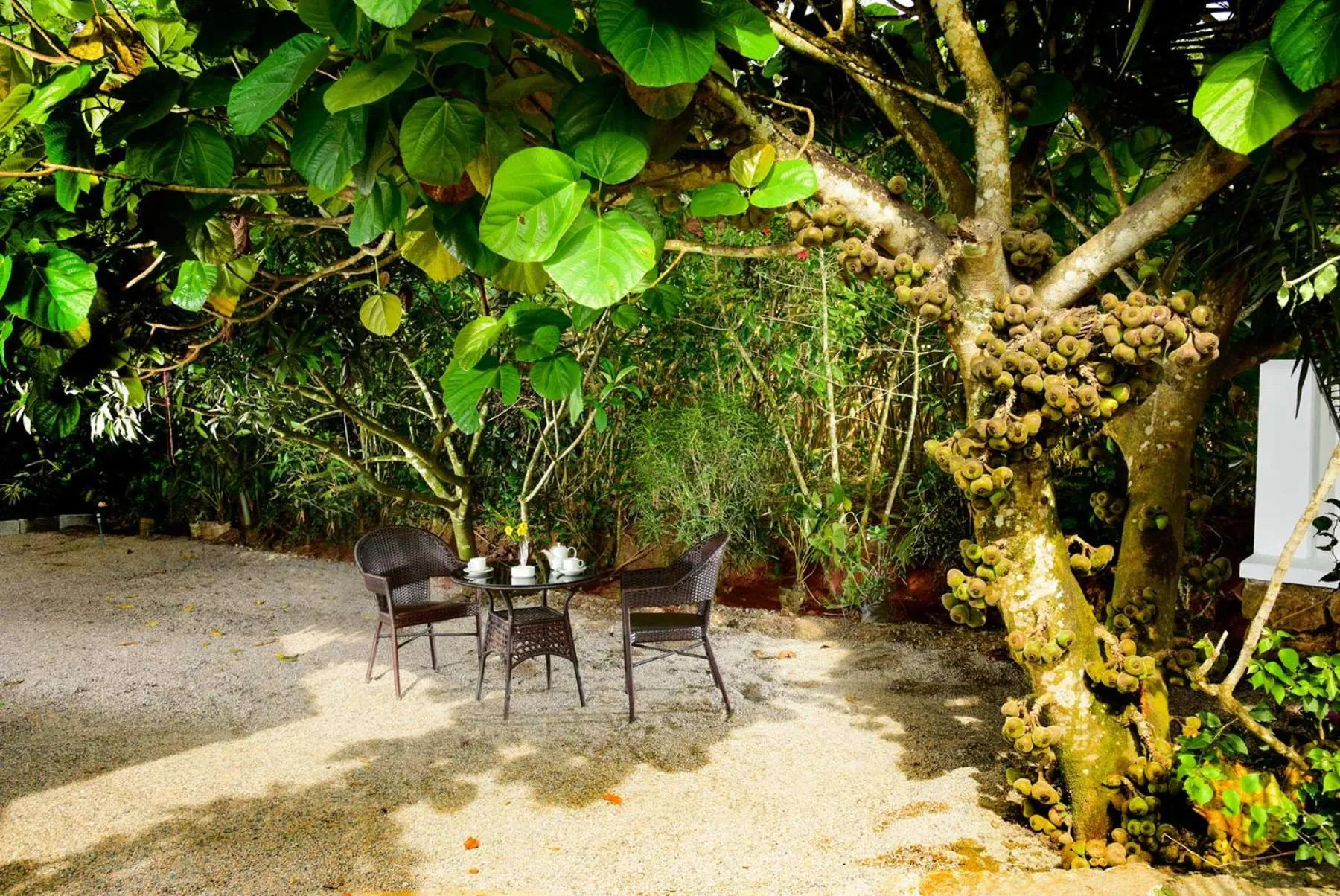 Spice Villa Thekkady