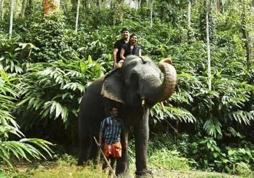 Spice Villa Thekkady