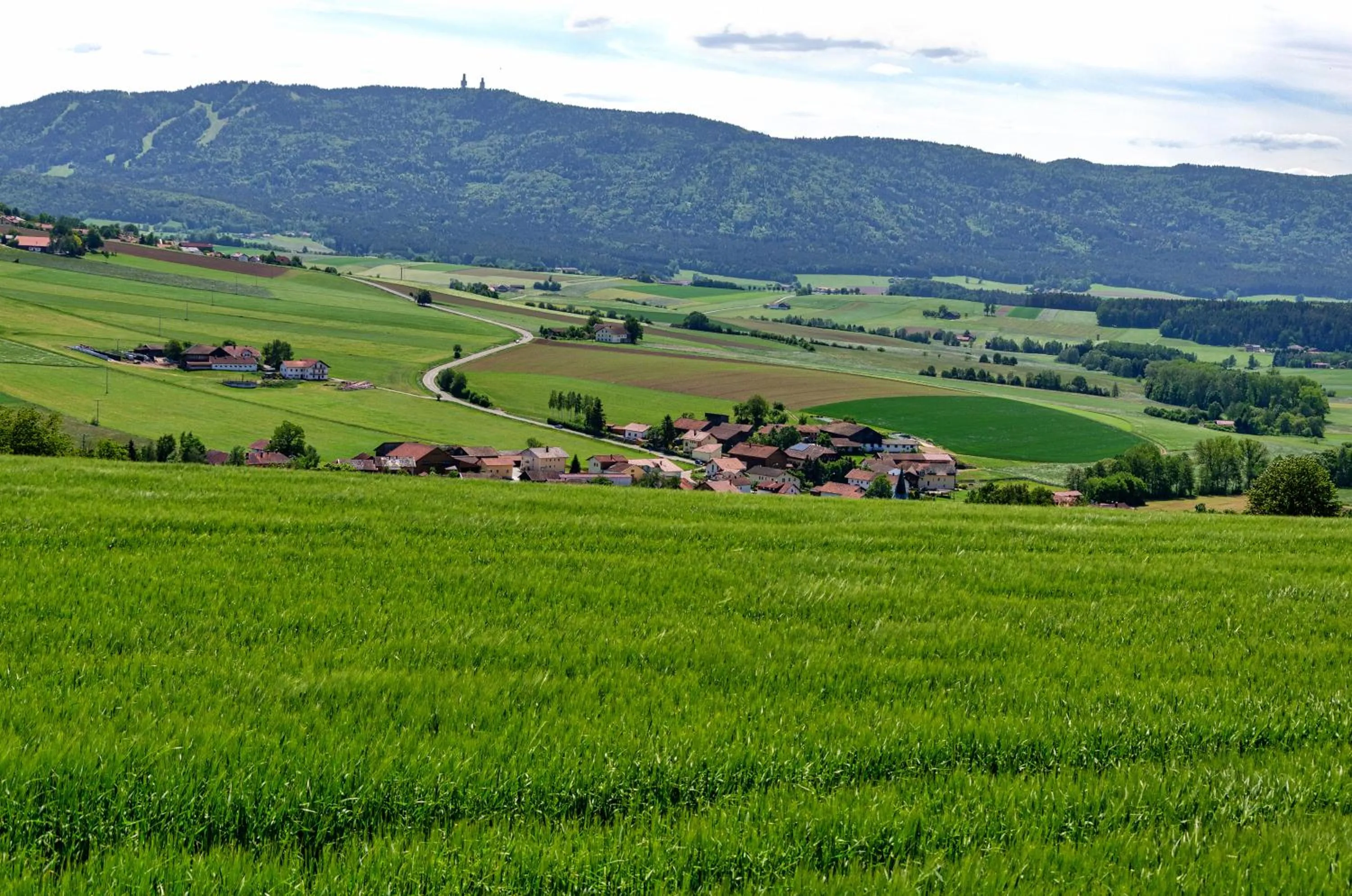Natural landscape in Hotel Gasthof Altmann