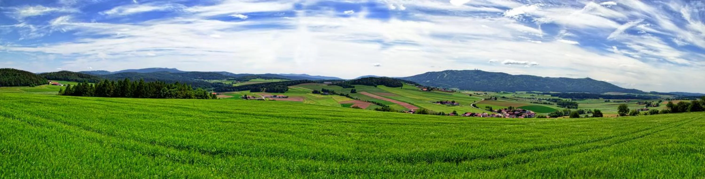 Natural landscape in Hotel Gasthof Altmann