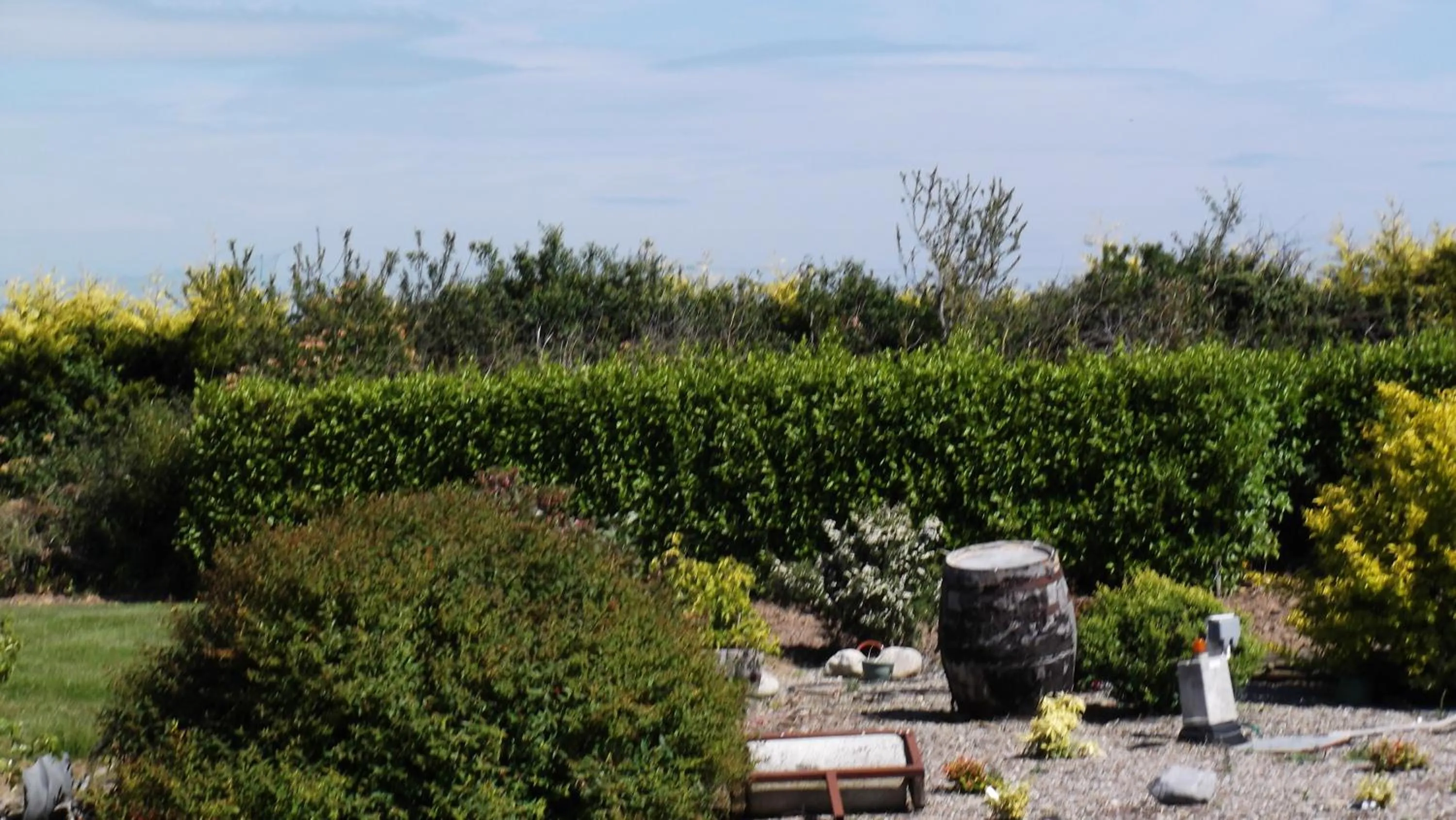 Ashley Lodge Bed & Breakfast