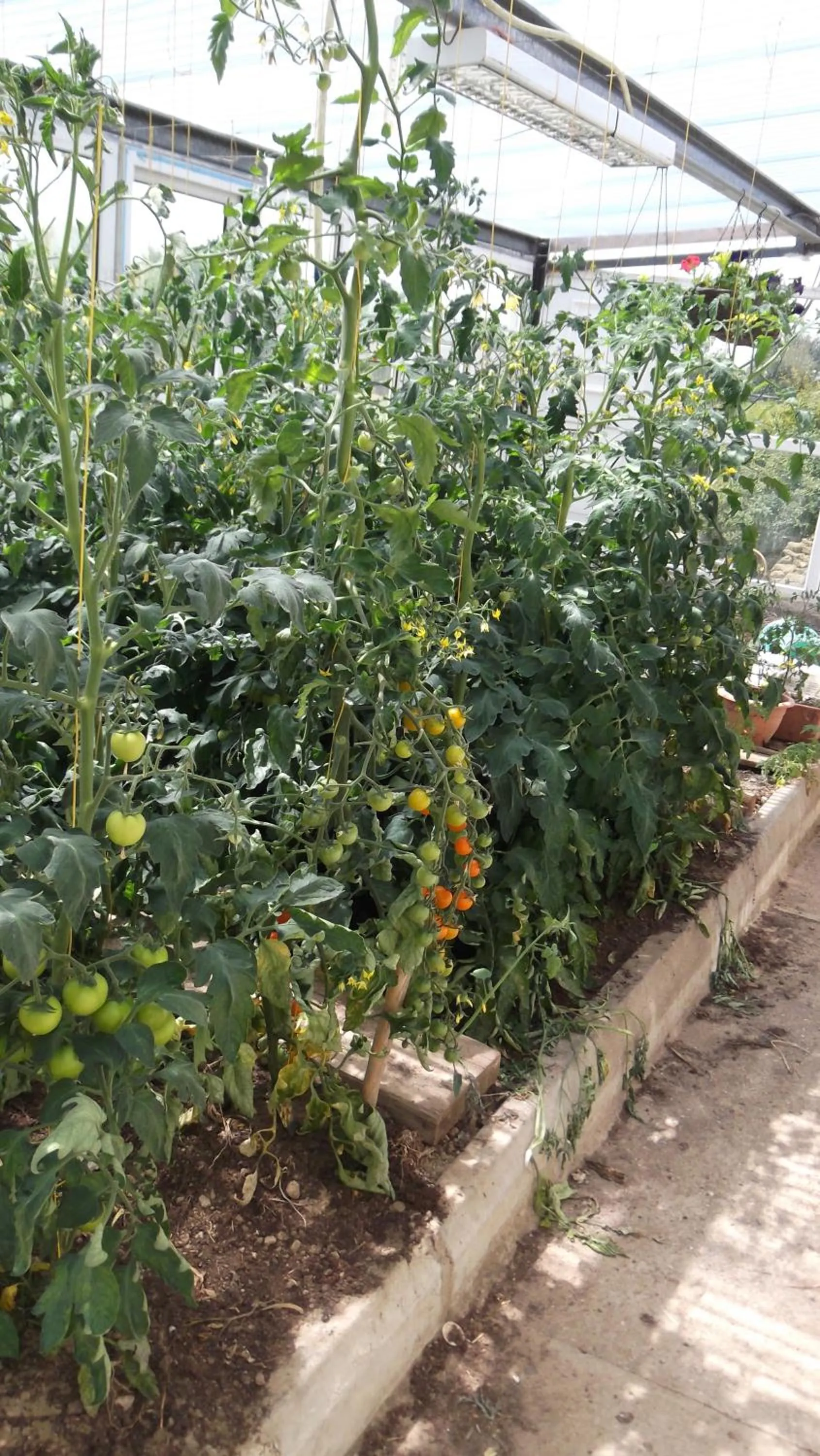 Ashley Lodge Bed & Breakfast