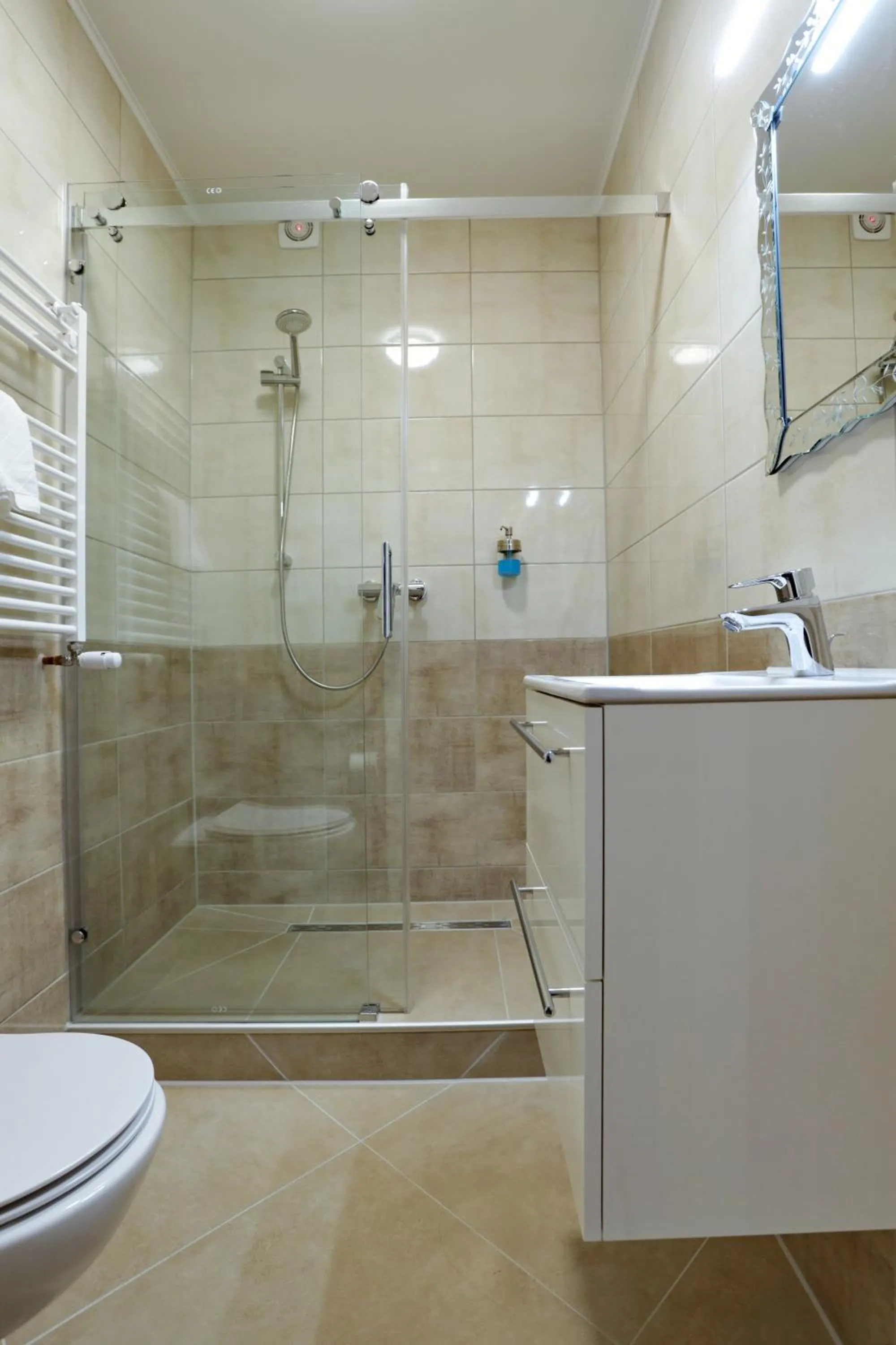 Shower in Hotel am Park