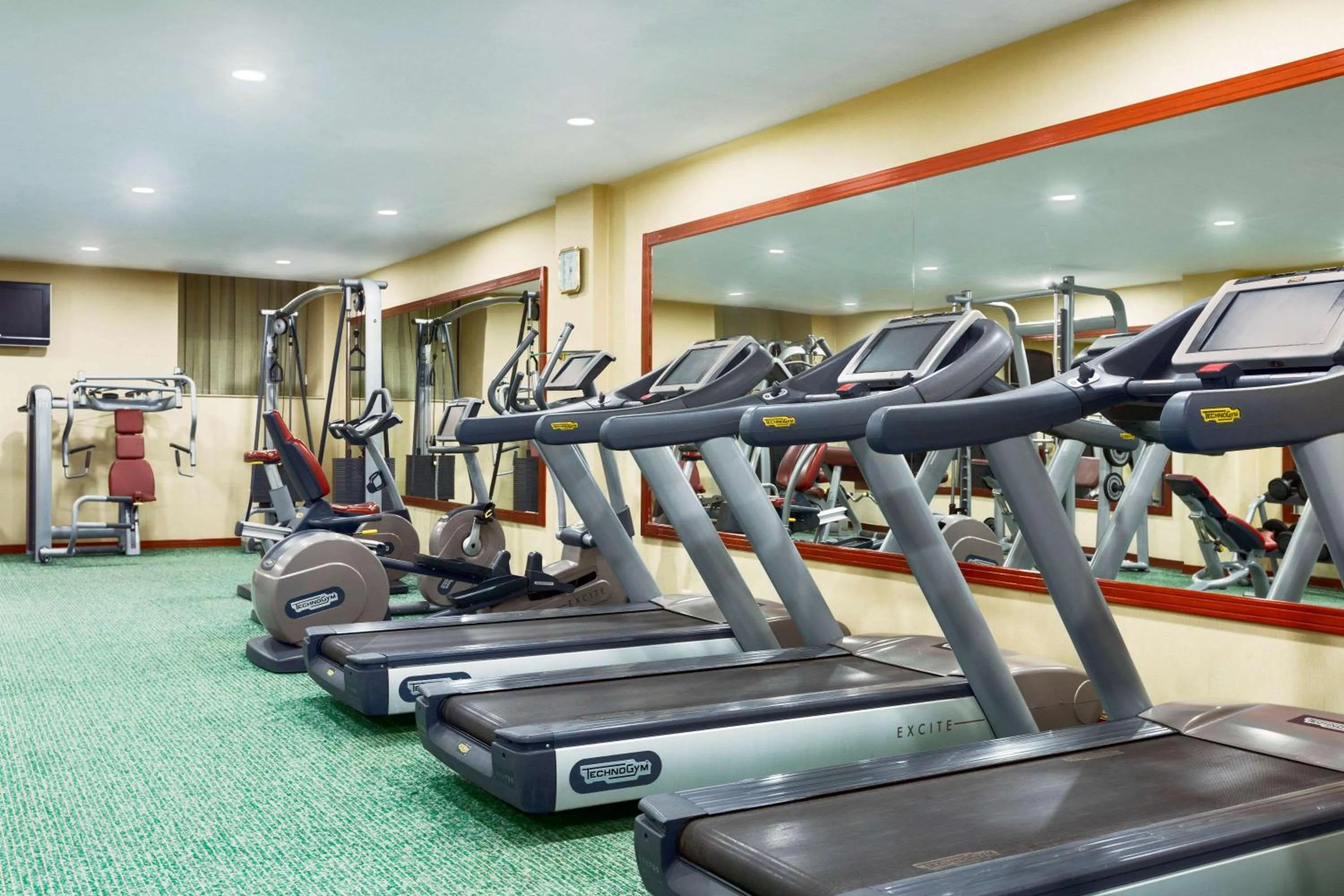 Fitness centre/facilities in Ramada Plaza by Wyndham Gence