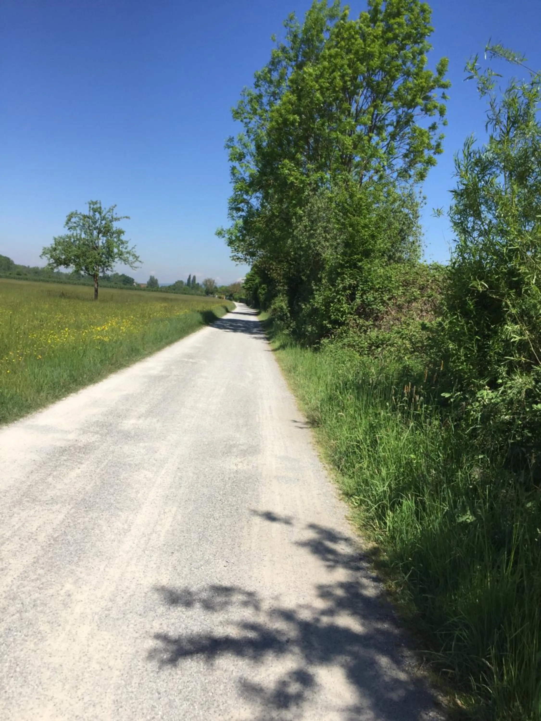 Cycling in Landgasthaus Bären