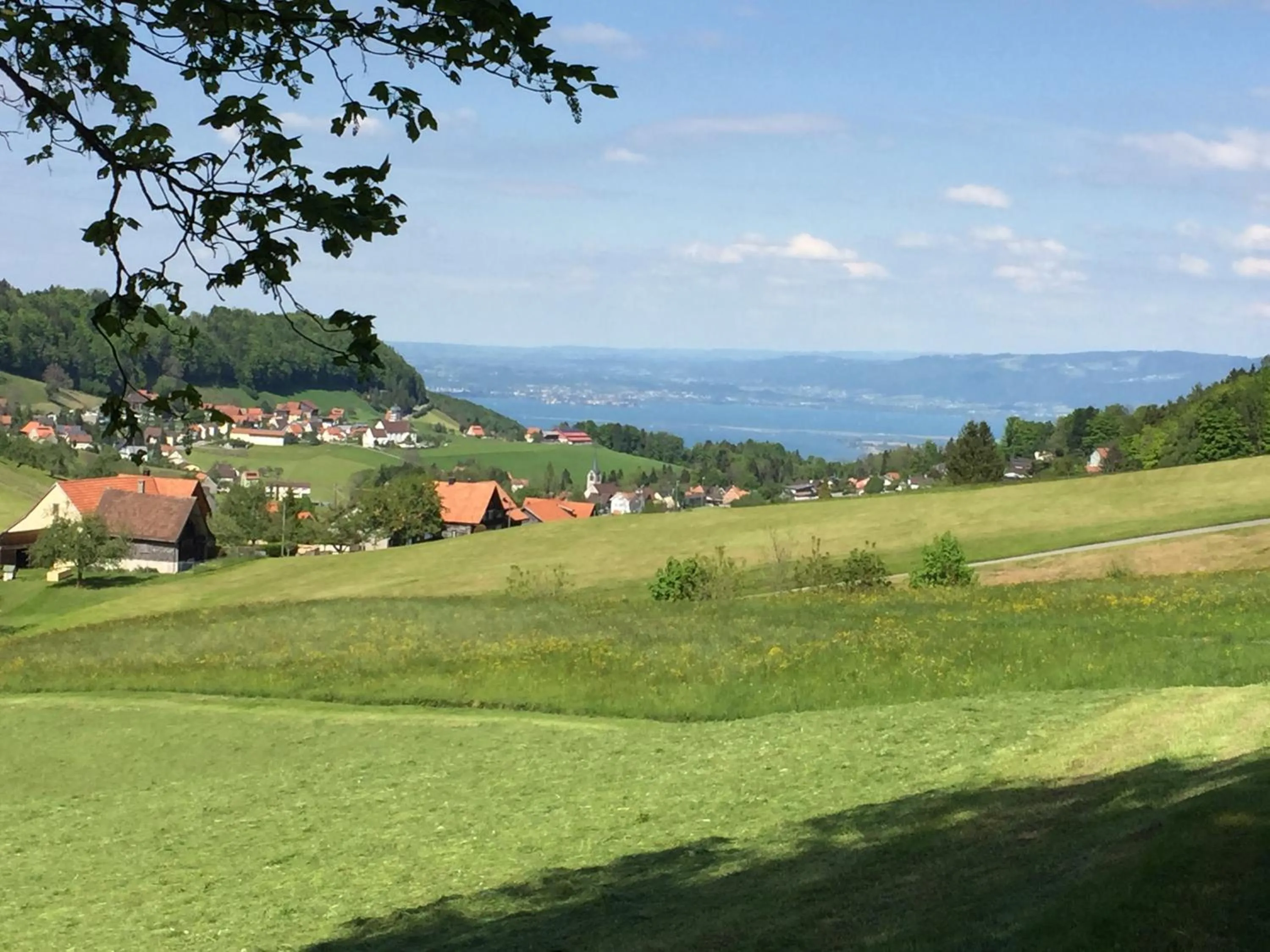 Lake view in Landgasthaus Bären