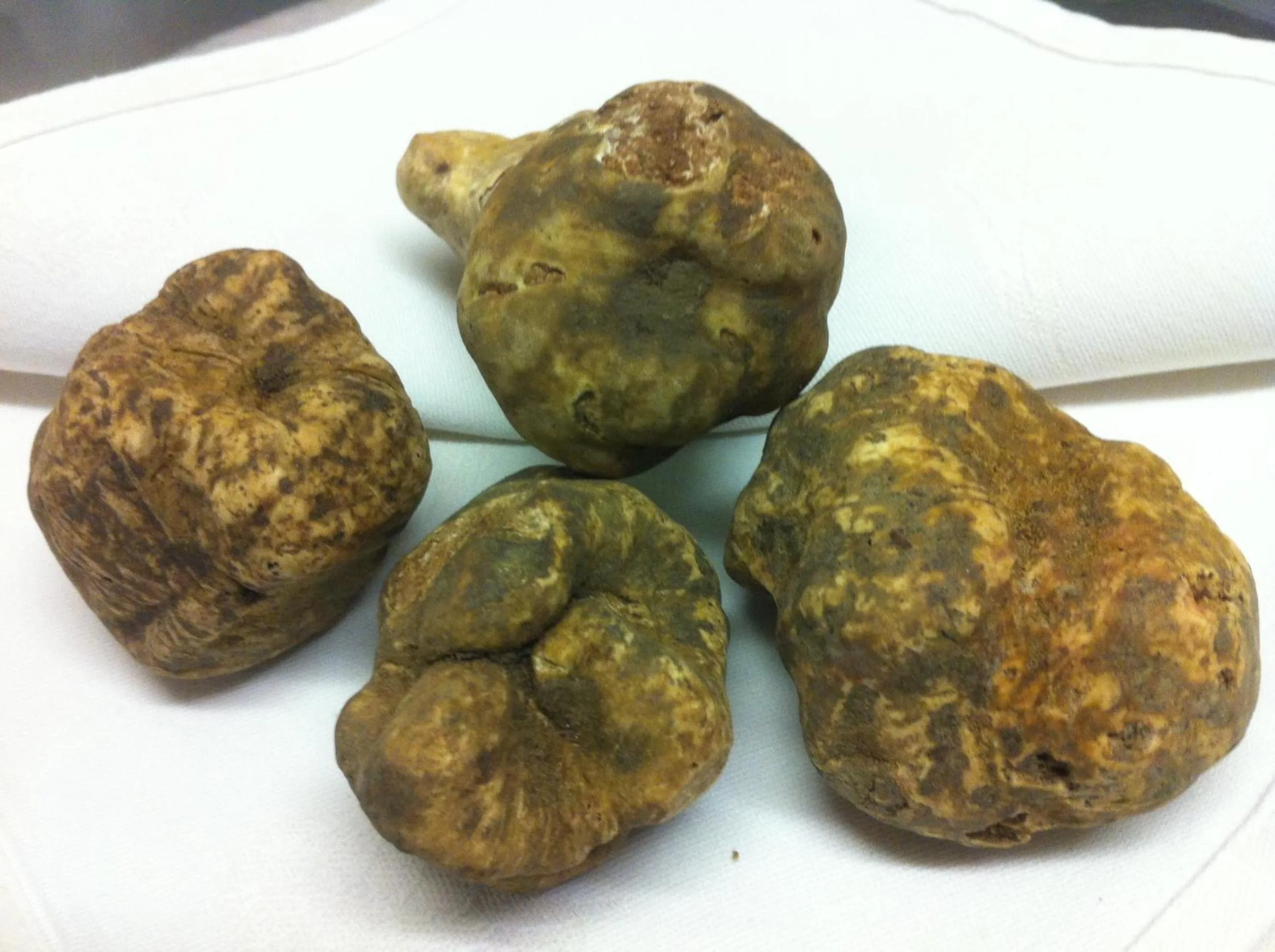 Food in Landgasthaus Bären