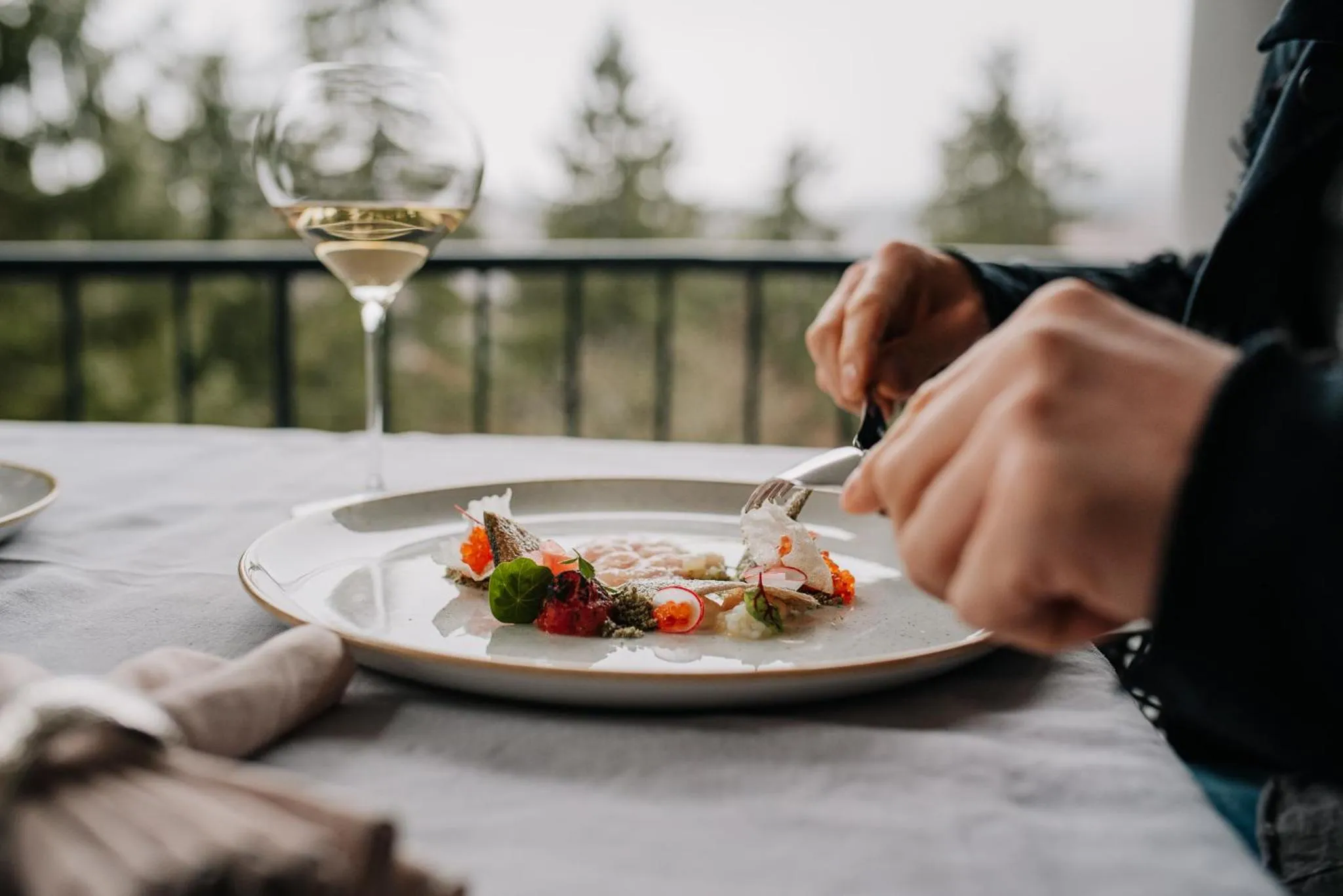 Food and drinks in Balvanyos Resort - Peakture Hotel & Grand Hotel Balvanyos