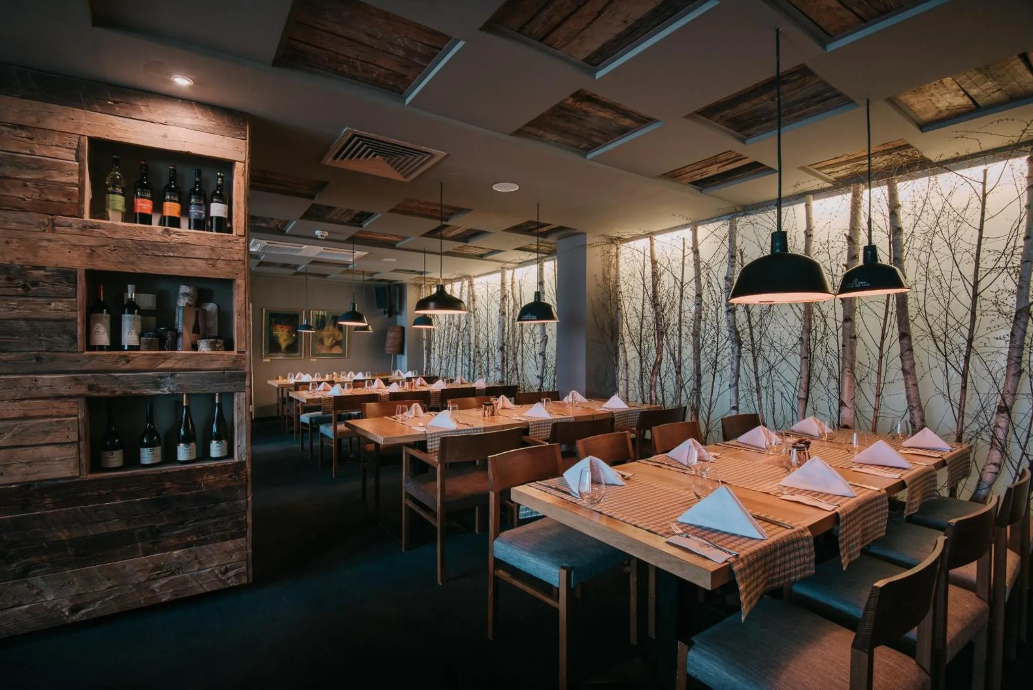 Lunch in Balvanyos Resort - Peakture Hotel & Grand Hotel Balvanyos