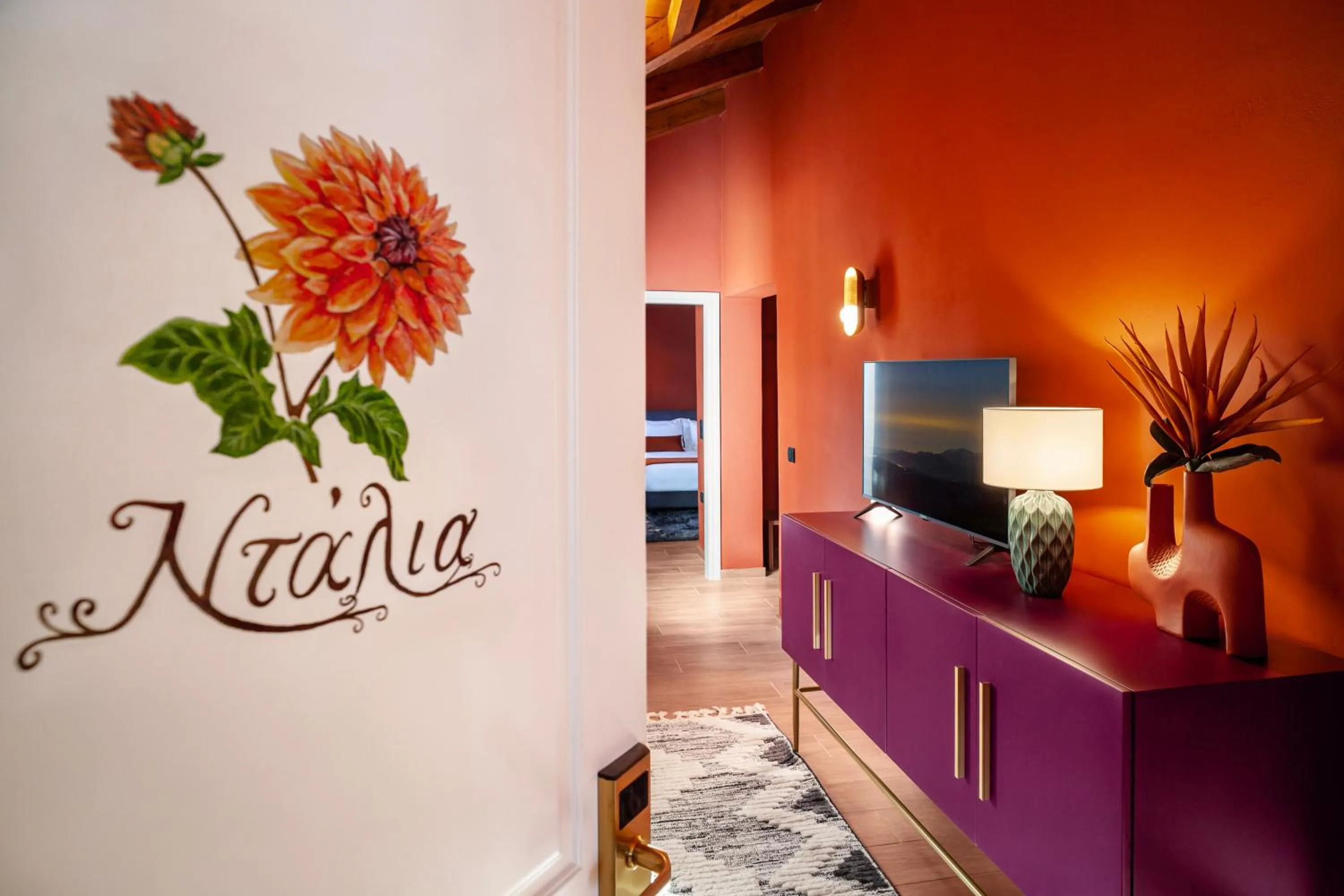 TV and multimedia in Archontiko Parnassus Dadi