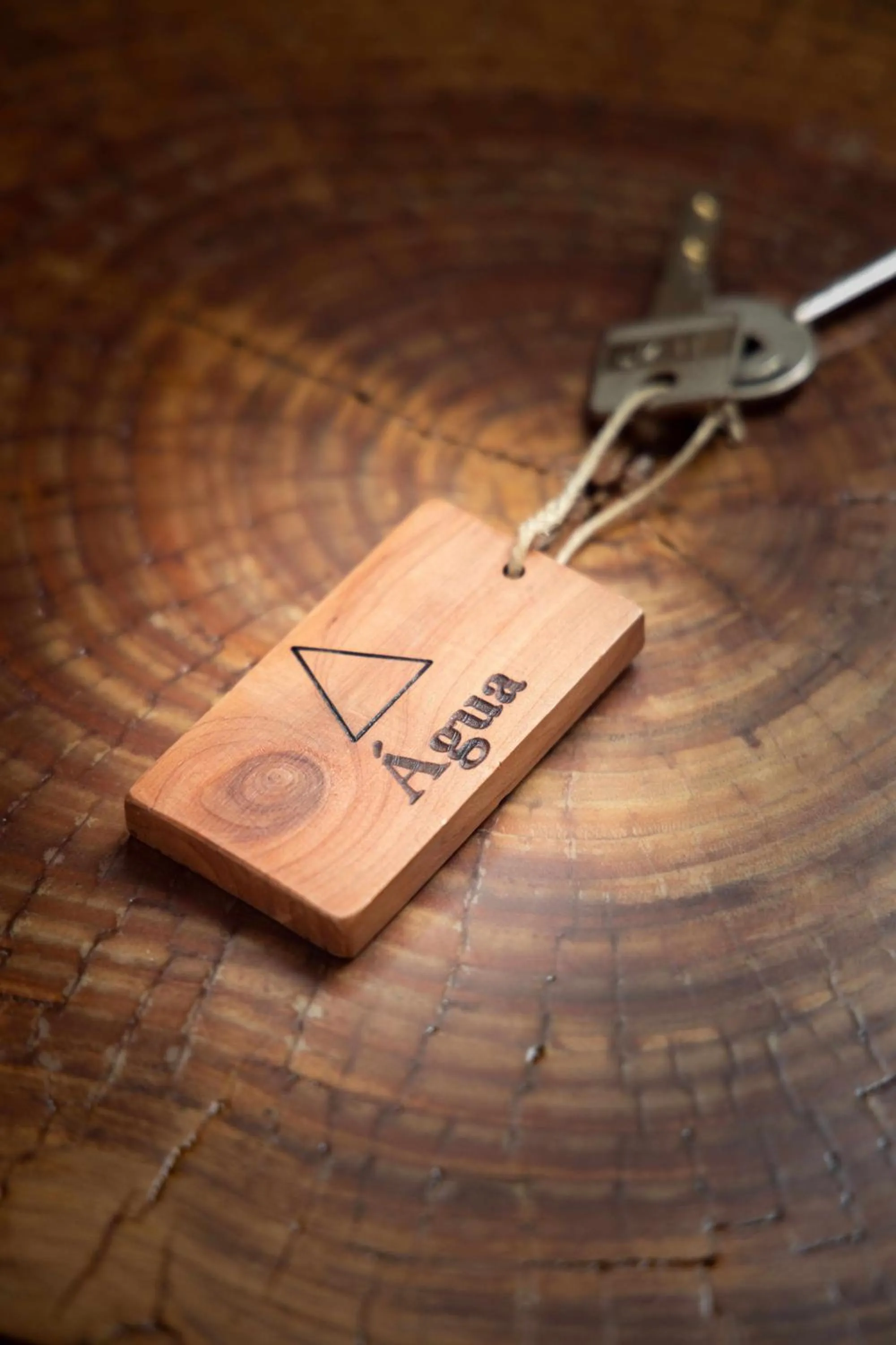 Quinta da Pousada Casa de Campo