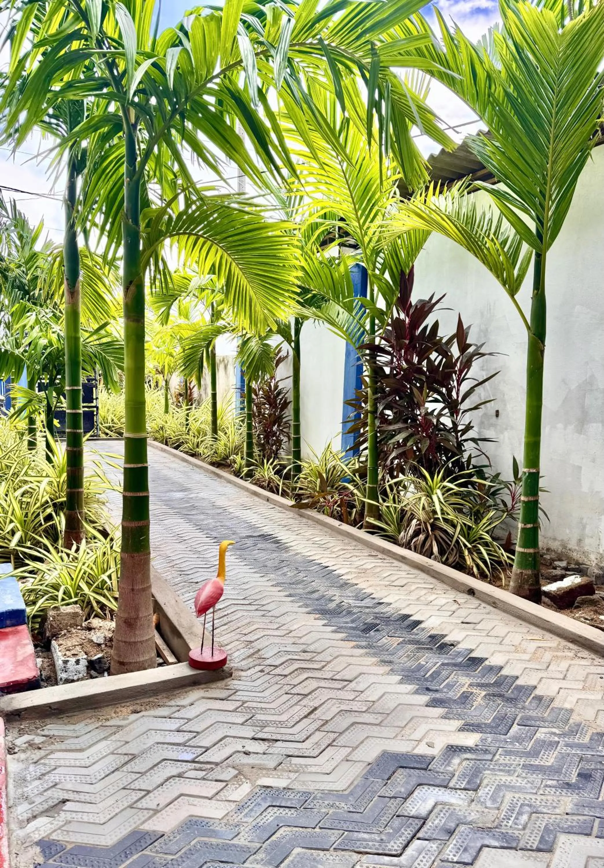 Garden in Oasis Wings Hotel