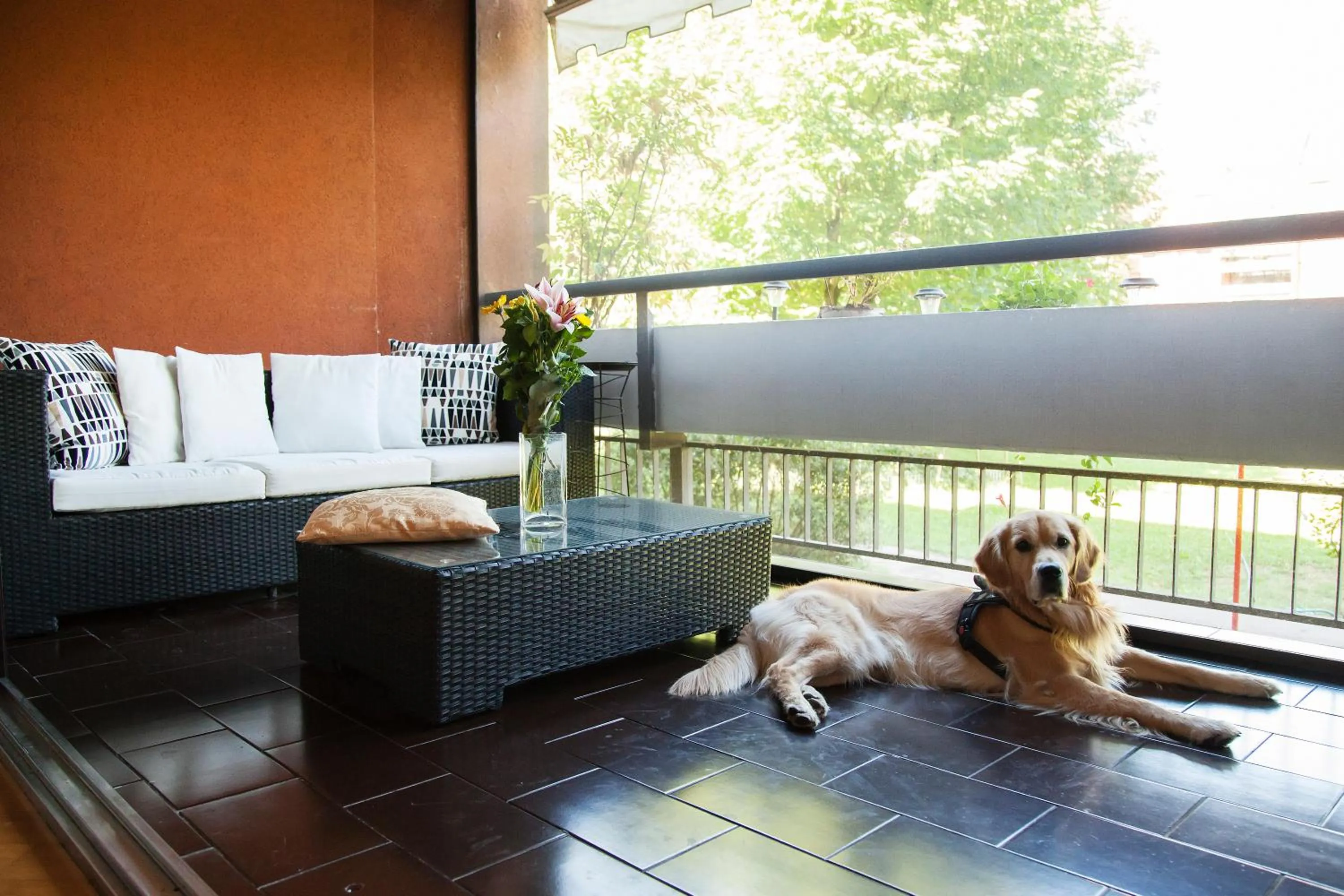 Bird's eye view in B&B Botton D'Oro Basiglio