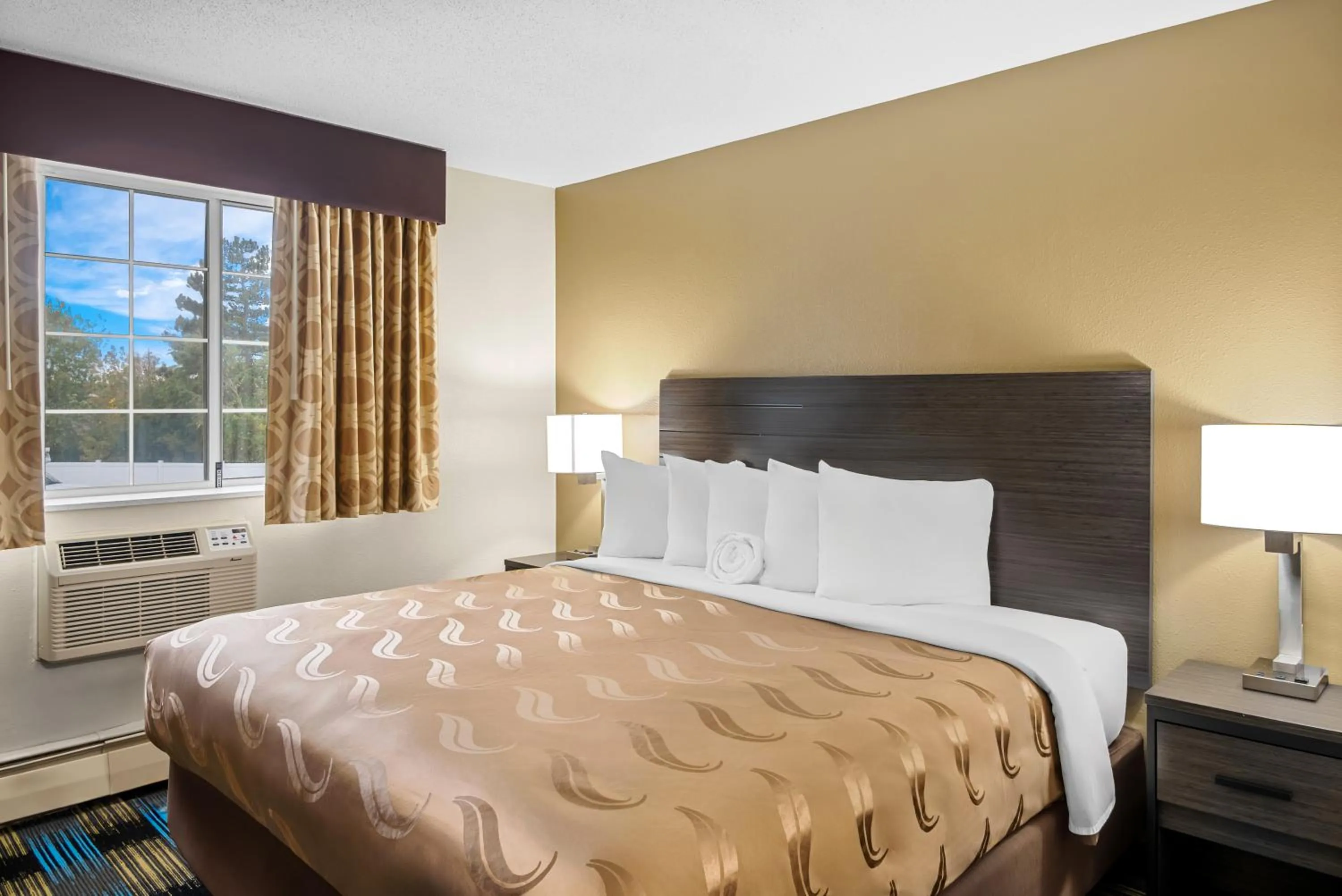 Bed in Rodeway Inn Grandville - Grand Rapids