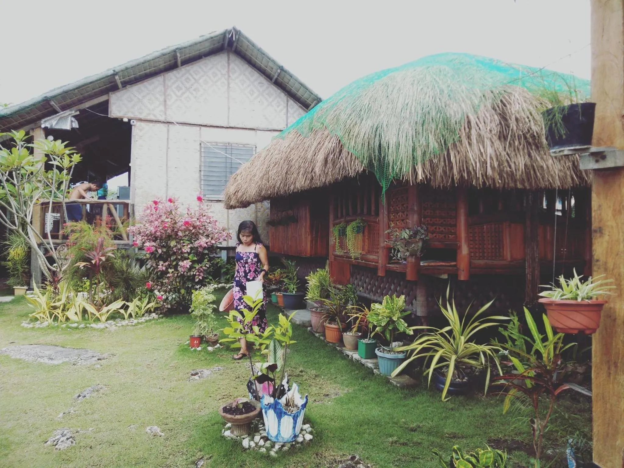 Garden in Titanic's Nipa Hut