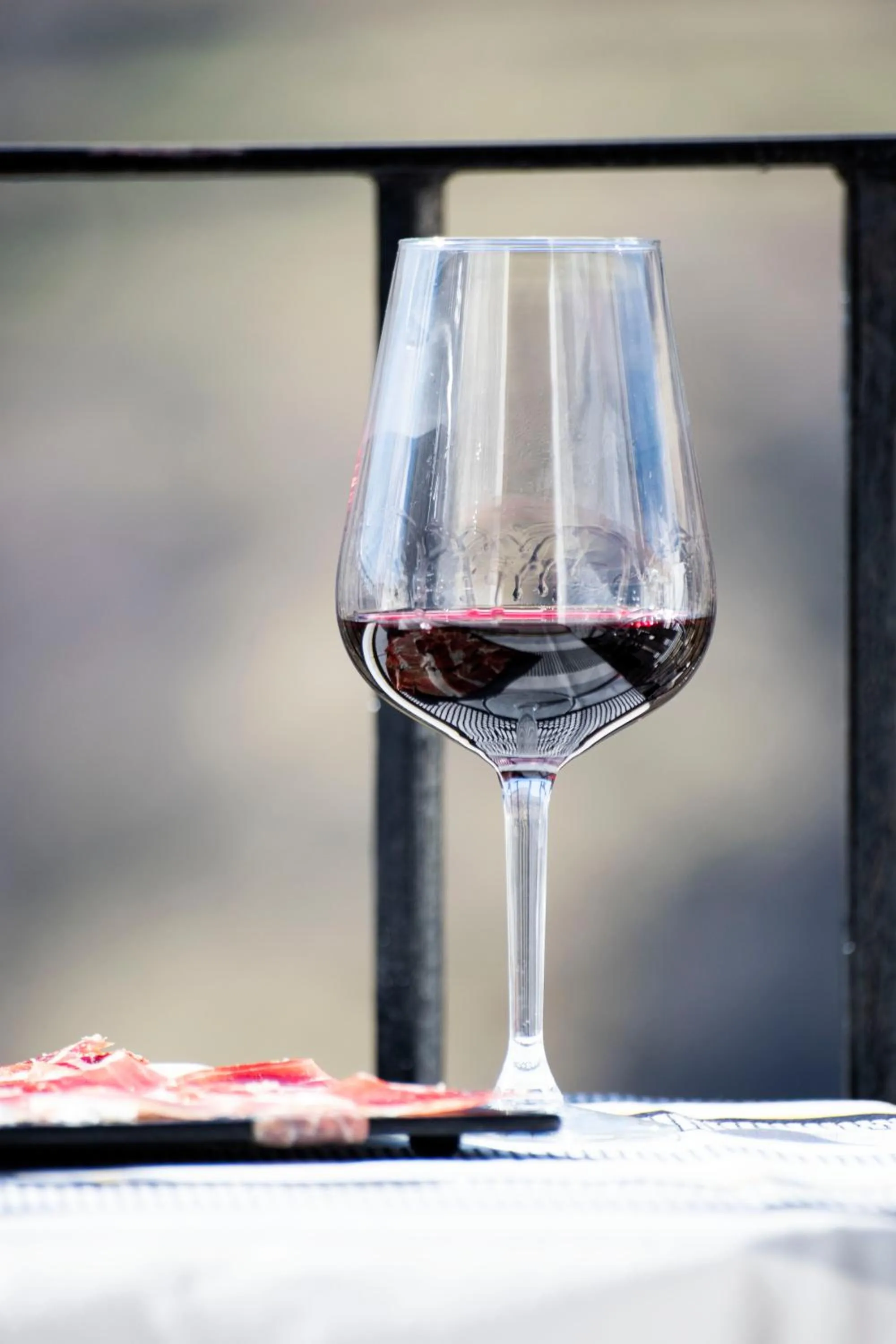 Balcony/Terrace in Apartamentos Vista Veleta