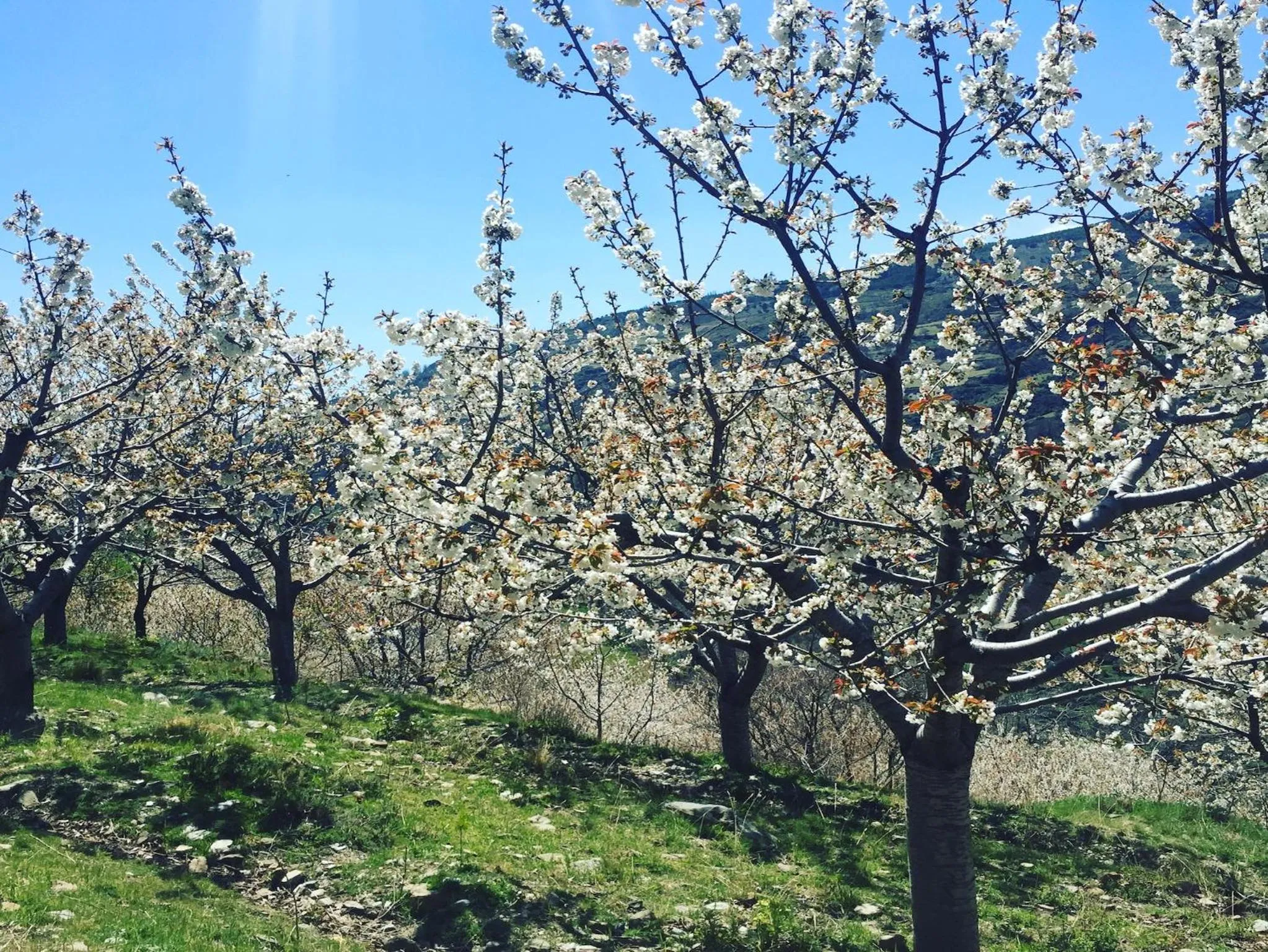 Apartamentos Vista Veleta