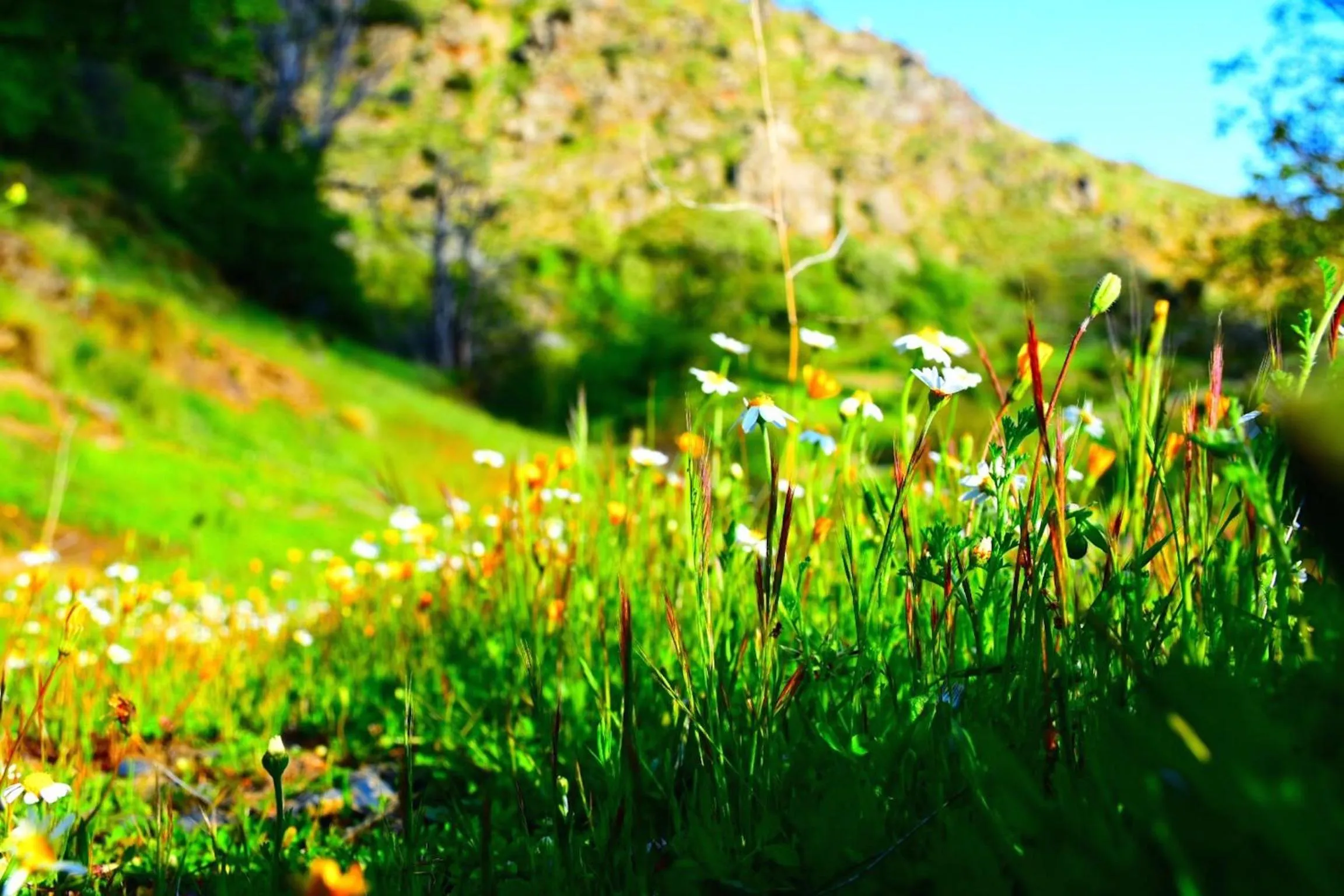 Other in Apartamentos Vista Veleta