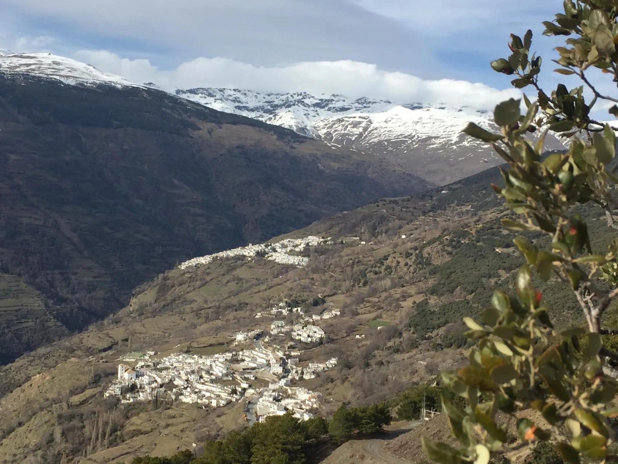 Location in Apartamentos Vista Veleta