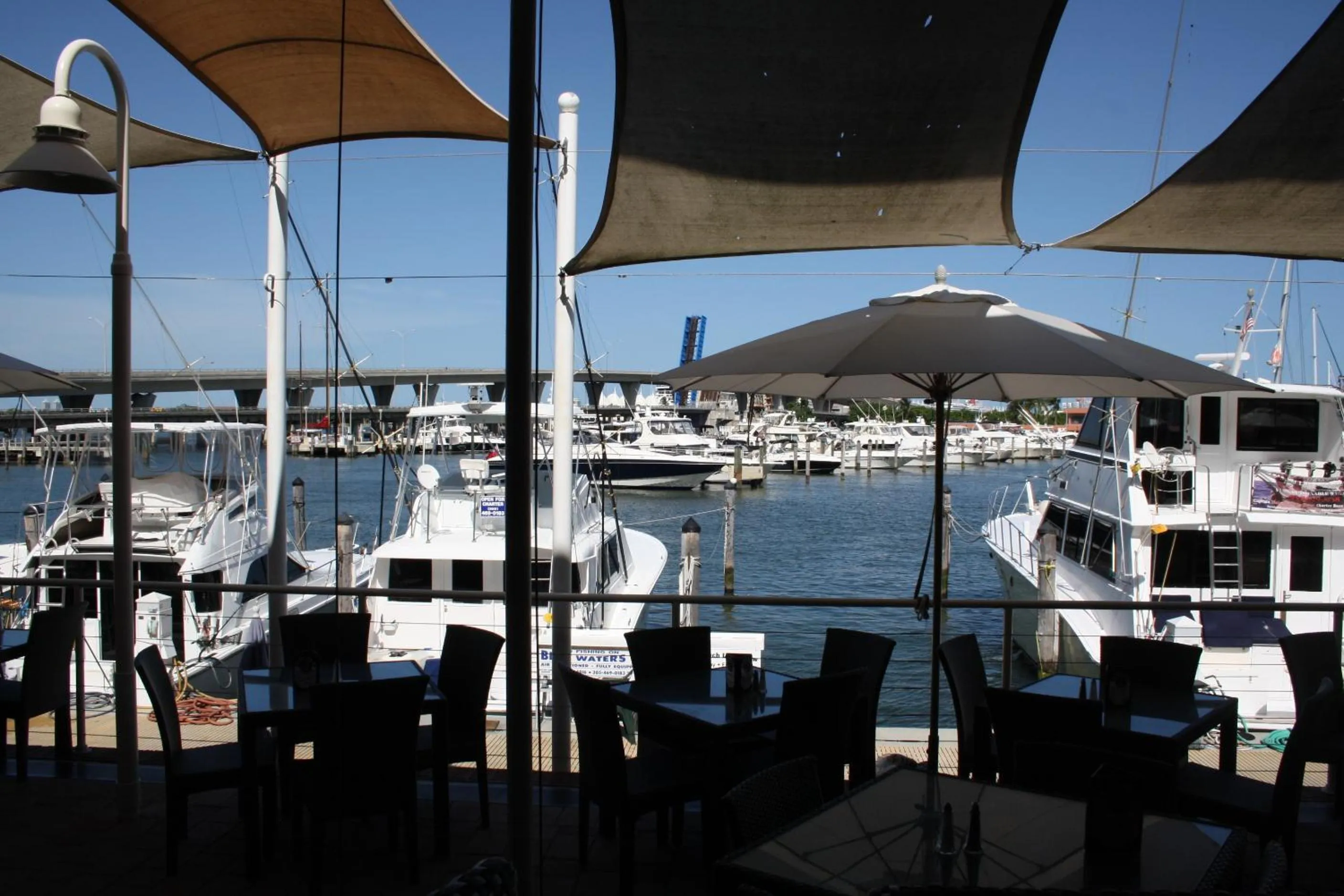 Fishing in Karibu Aruba Boutique Hotel