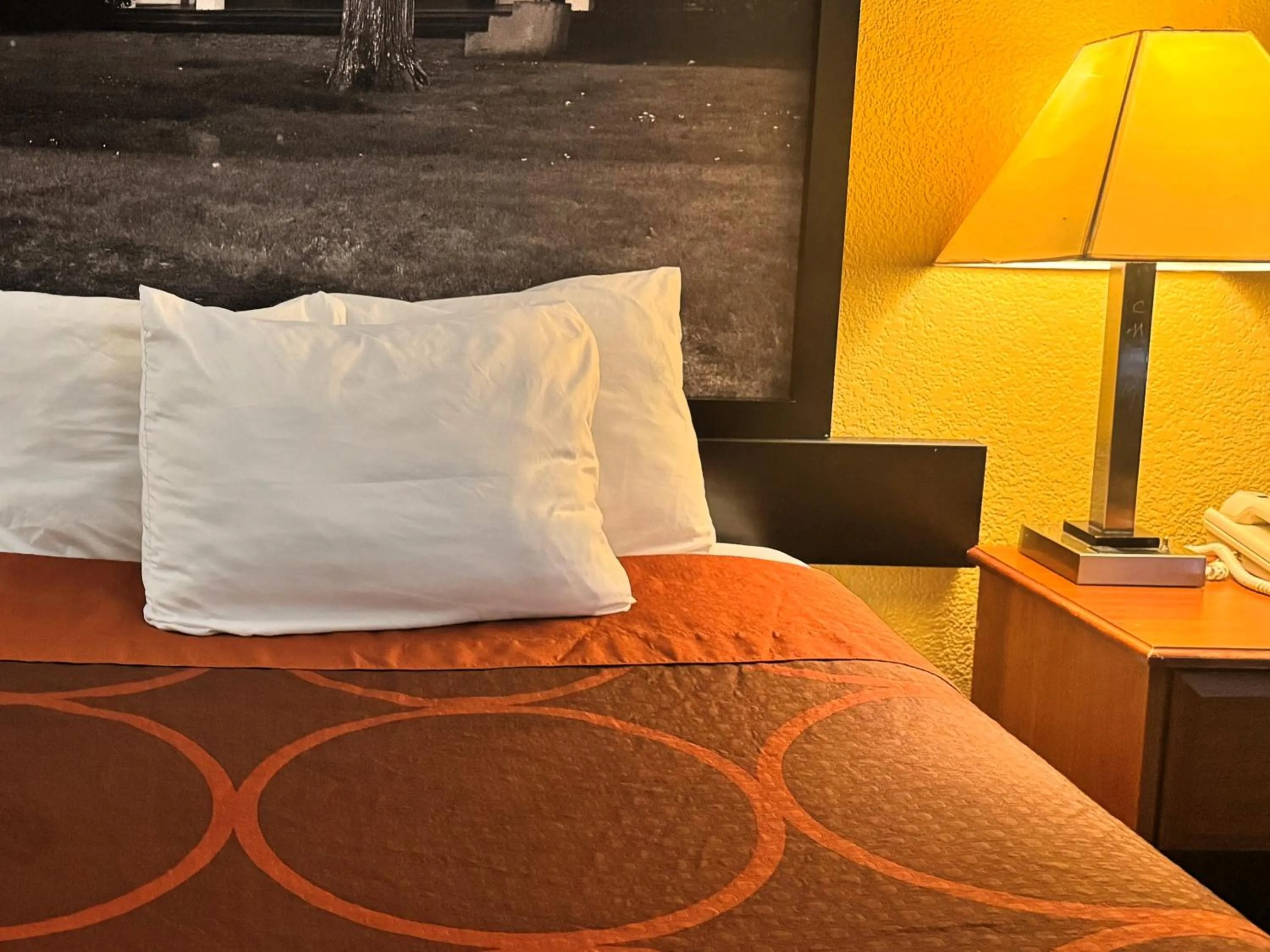 Bed in Super 8 by Wyndham Hattiesburg South